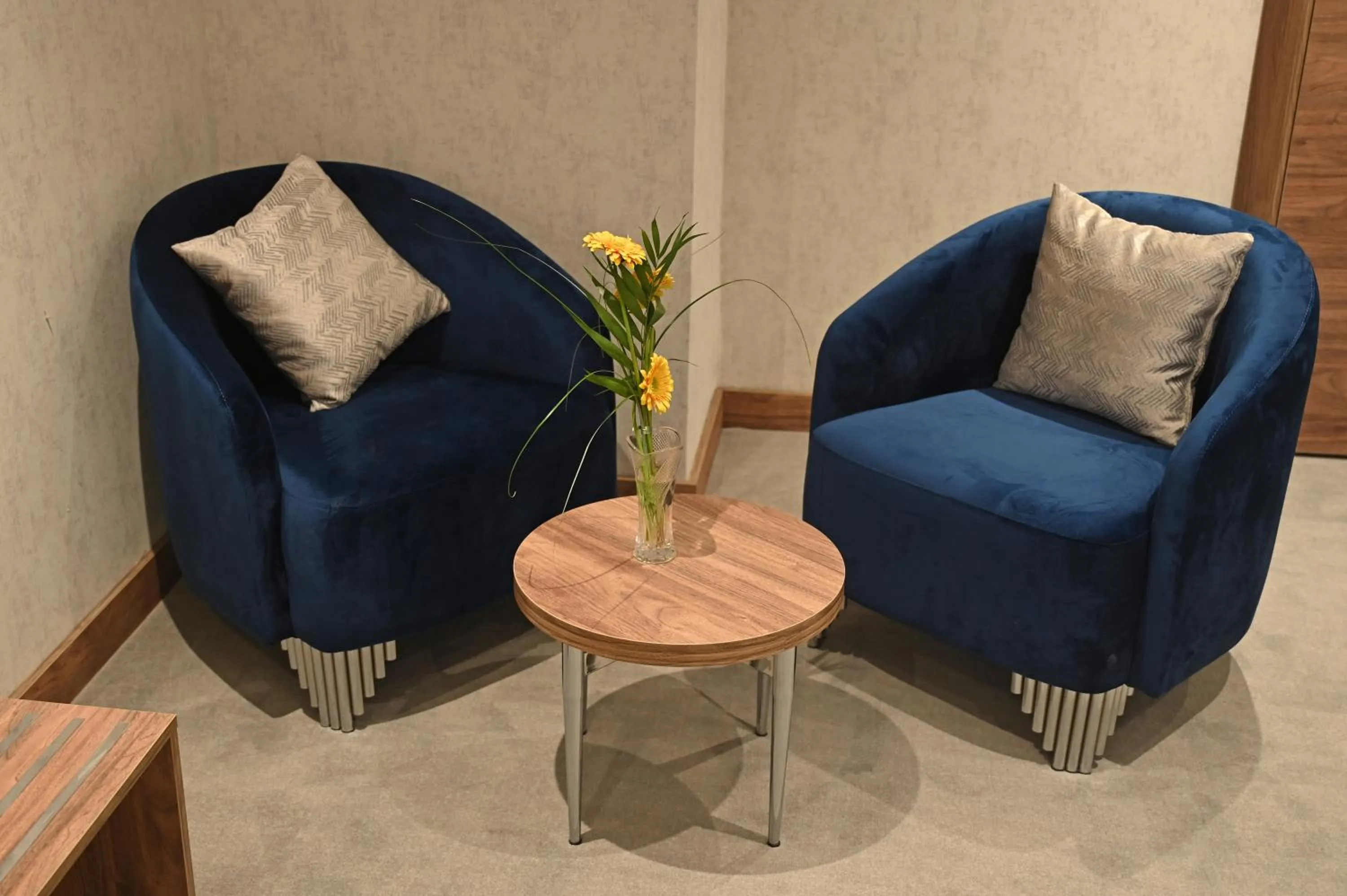 Seating area in Hotel Foldana