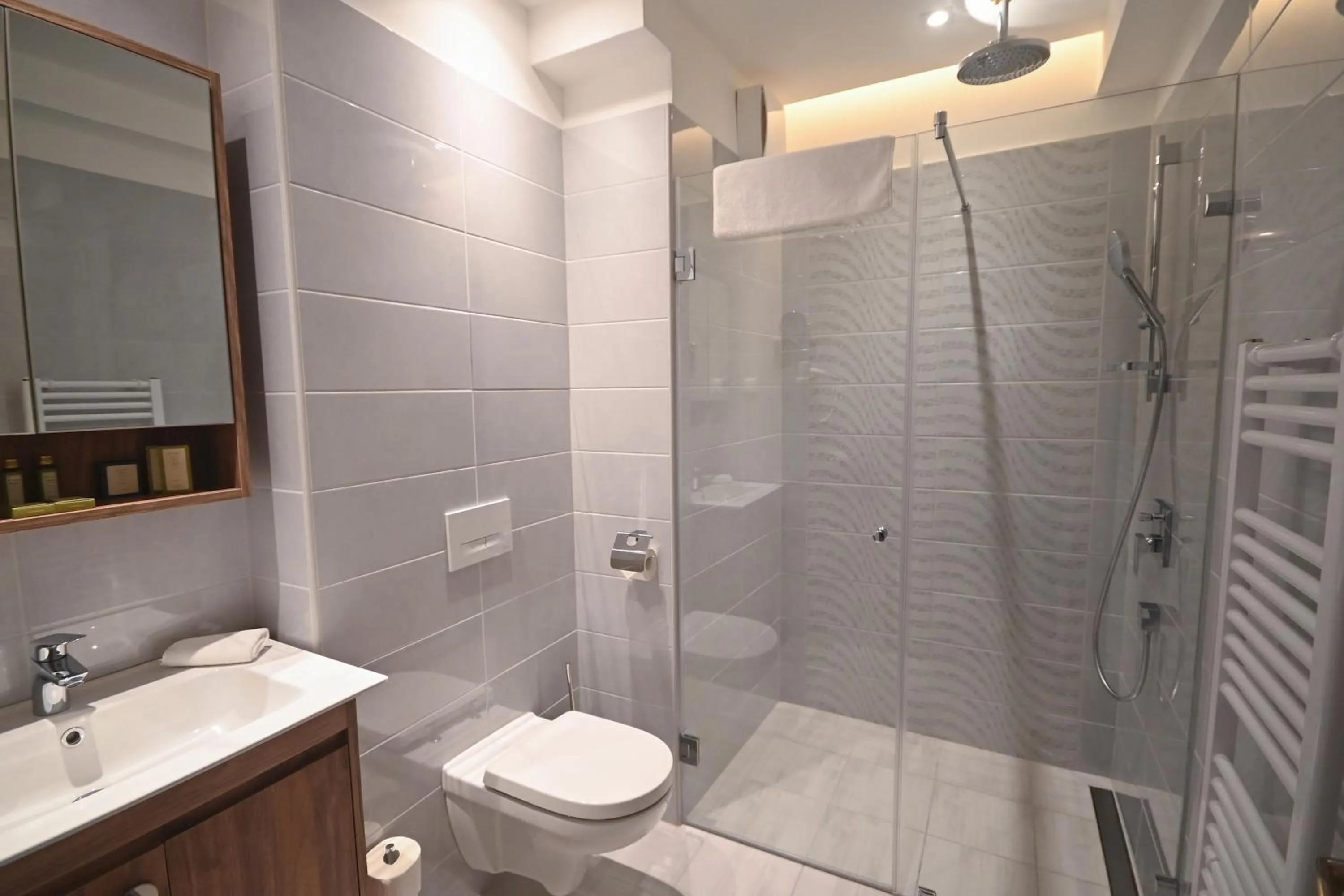 Shower in Hotel Foldana