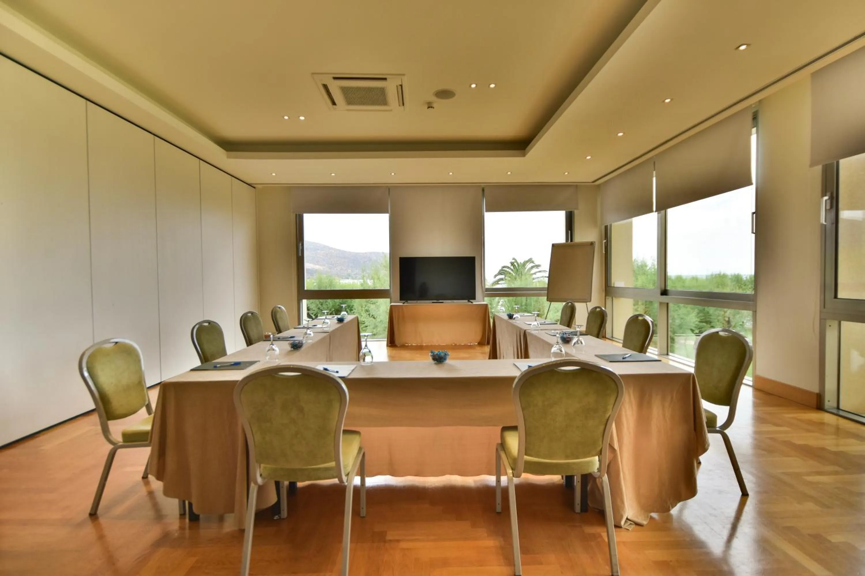 Meeting/conference room in Plaza Resort