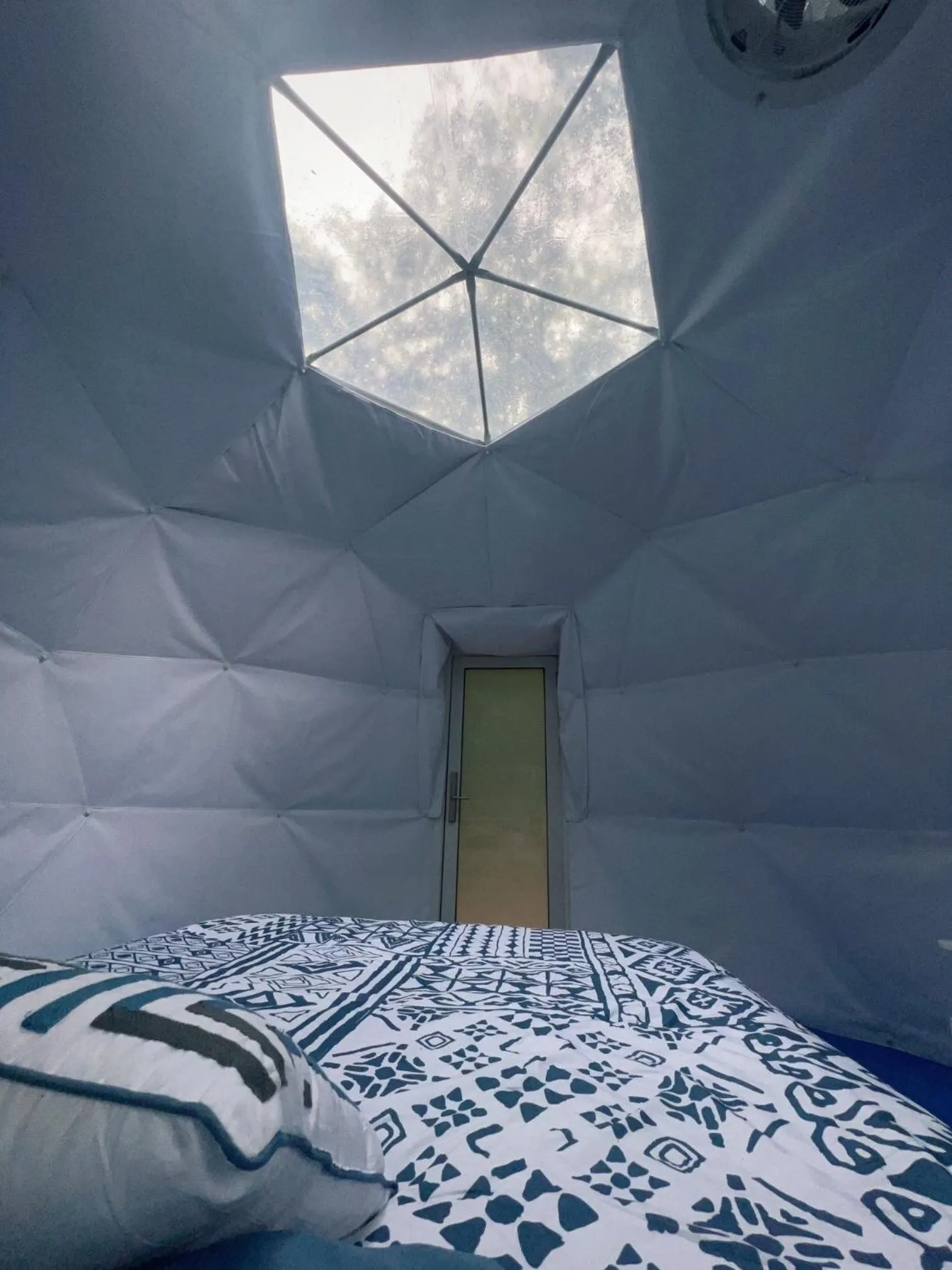 Photo of the whole room in Harmony Tree Resorts inc