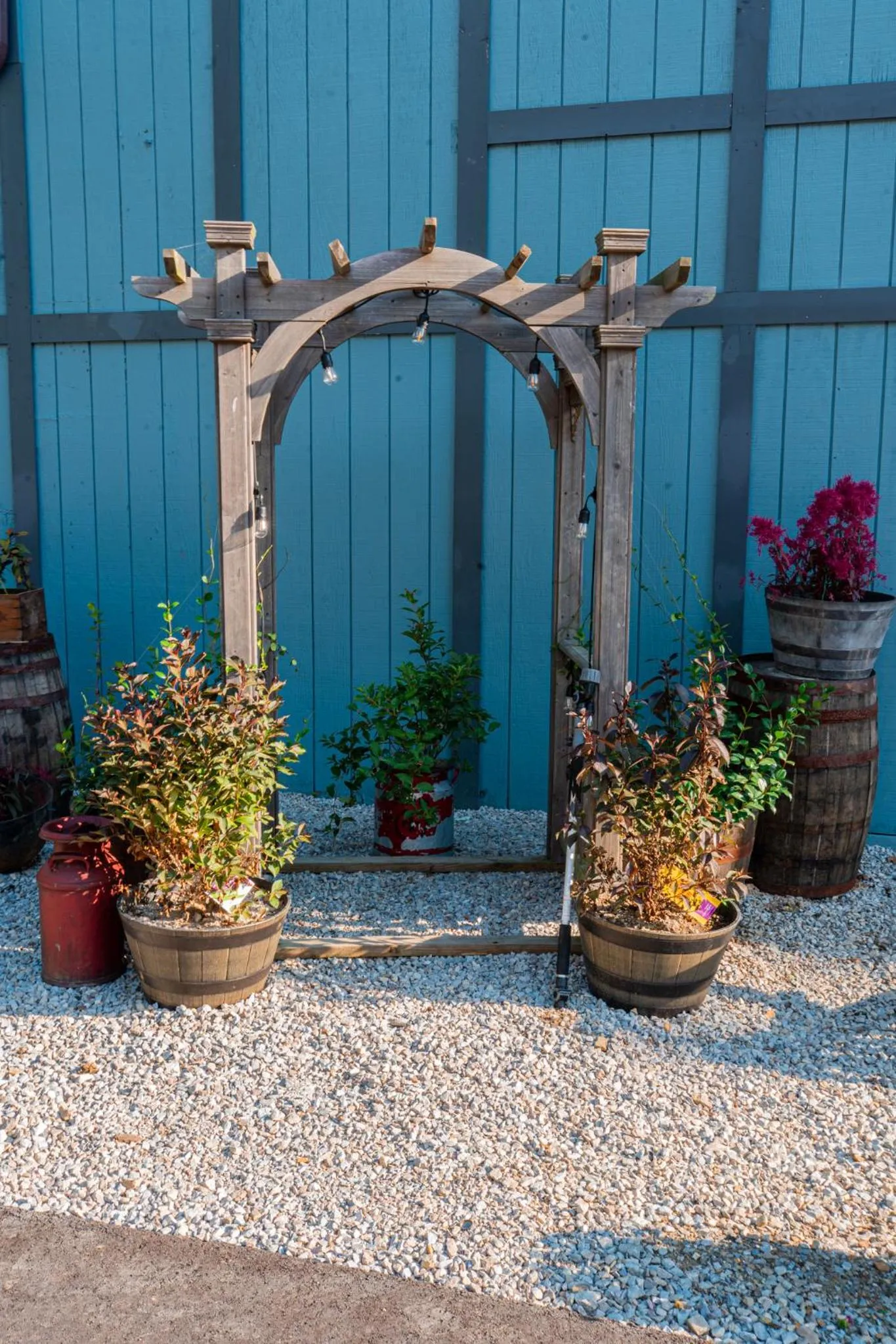 Property building in Harmony Tree Resorts inc