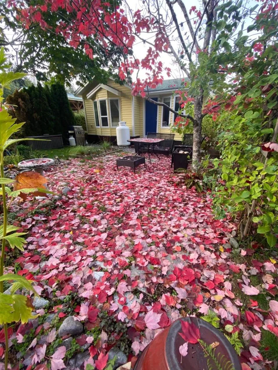 Garden view in Beaver Lake Resort Site #36
