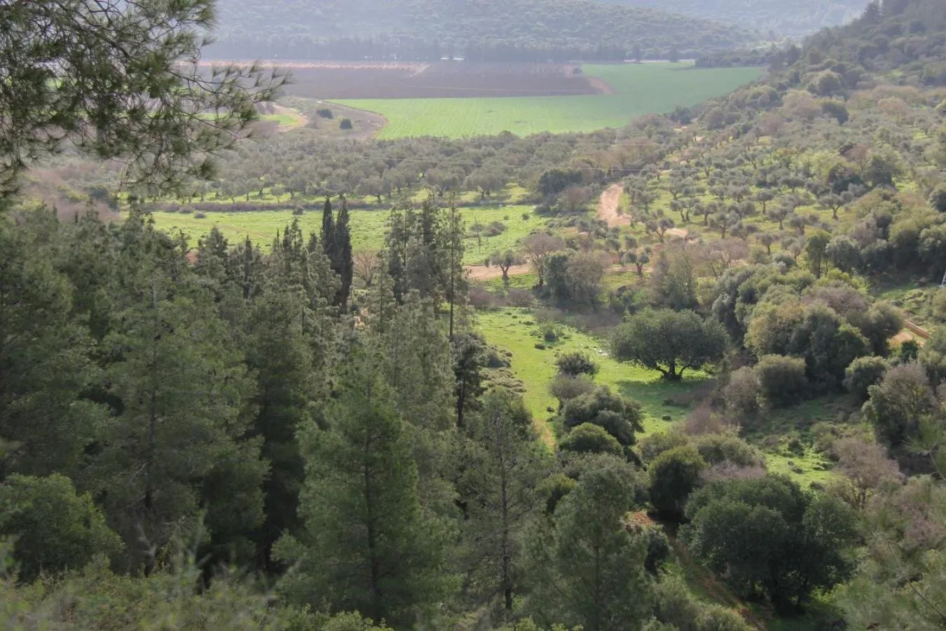 Restaurant/places to eat in Slowness - Kibbutz Moran