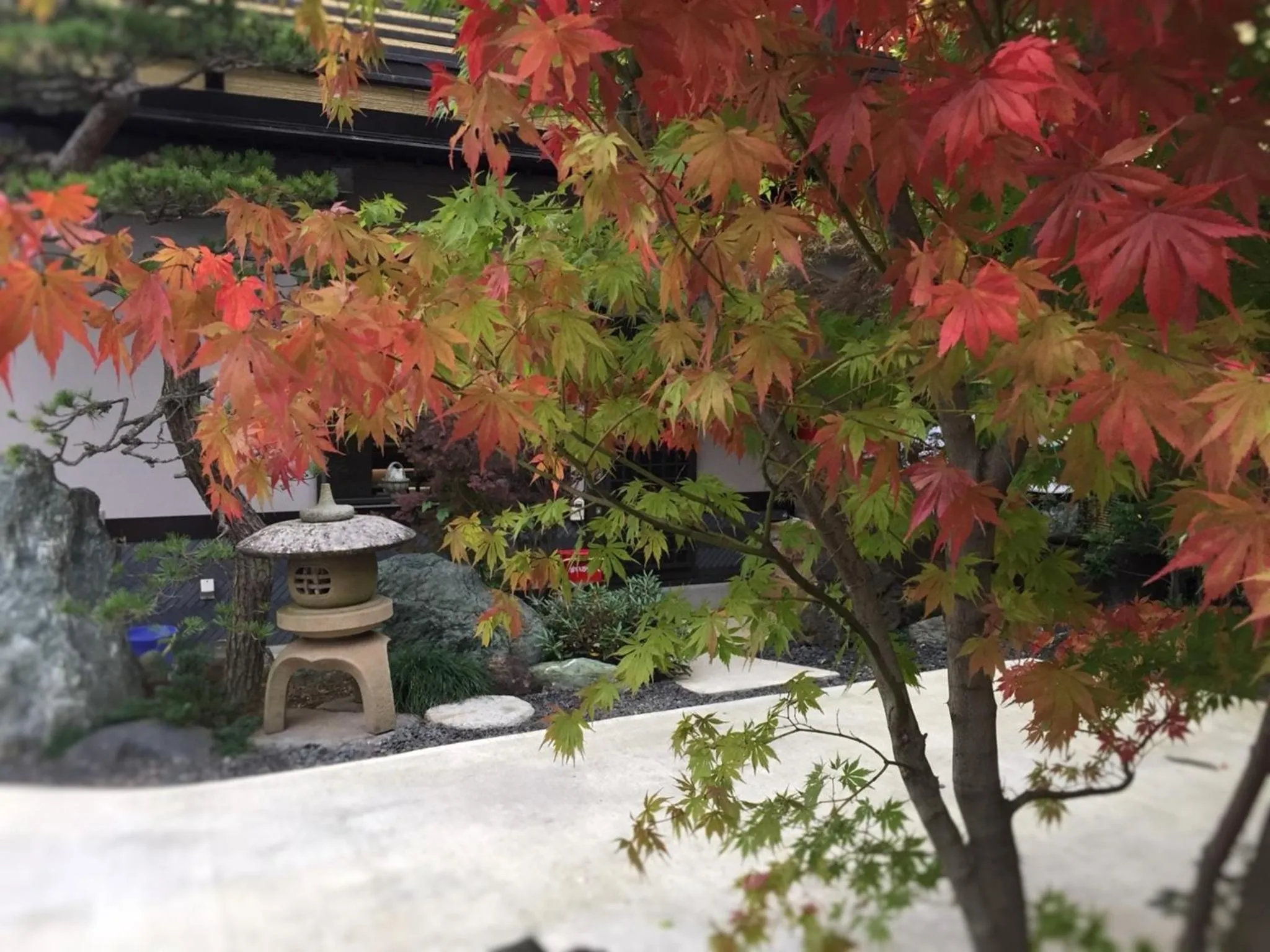 Kusatsu Onsen 326 Yamanoyu Hotel - Vacation STAY 10349v