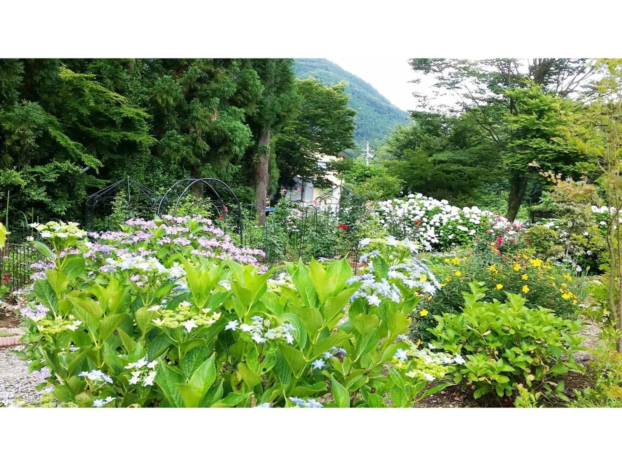 Sudomari no Yado Sunmore - Vacation STAY 46736v