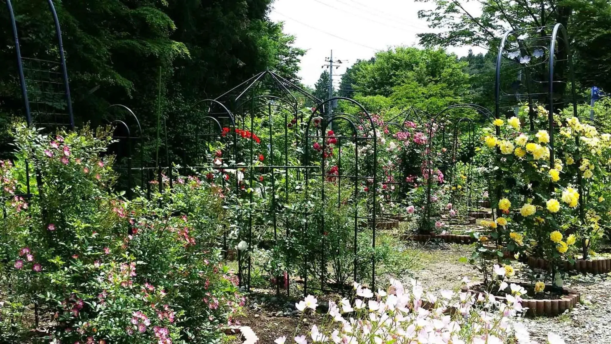 Sudomari no Yado Sunmore - Vacation STAY 46748v