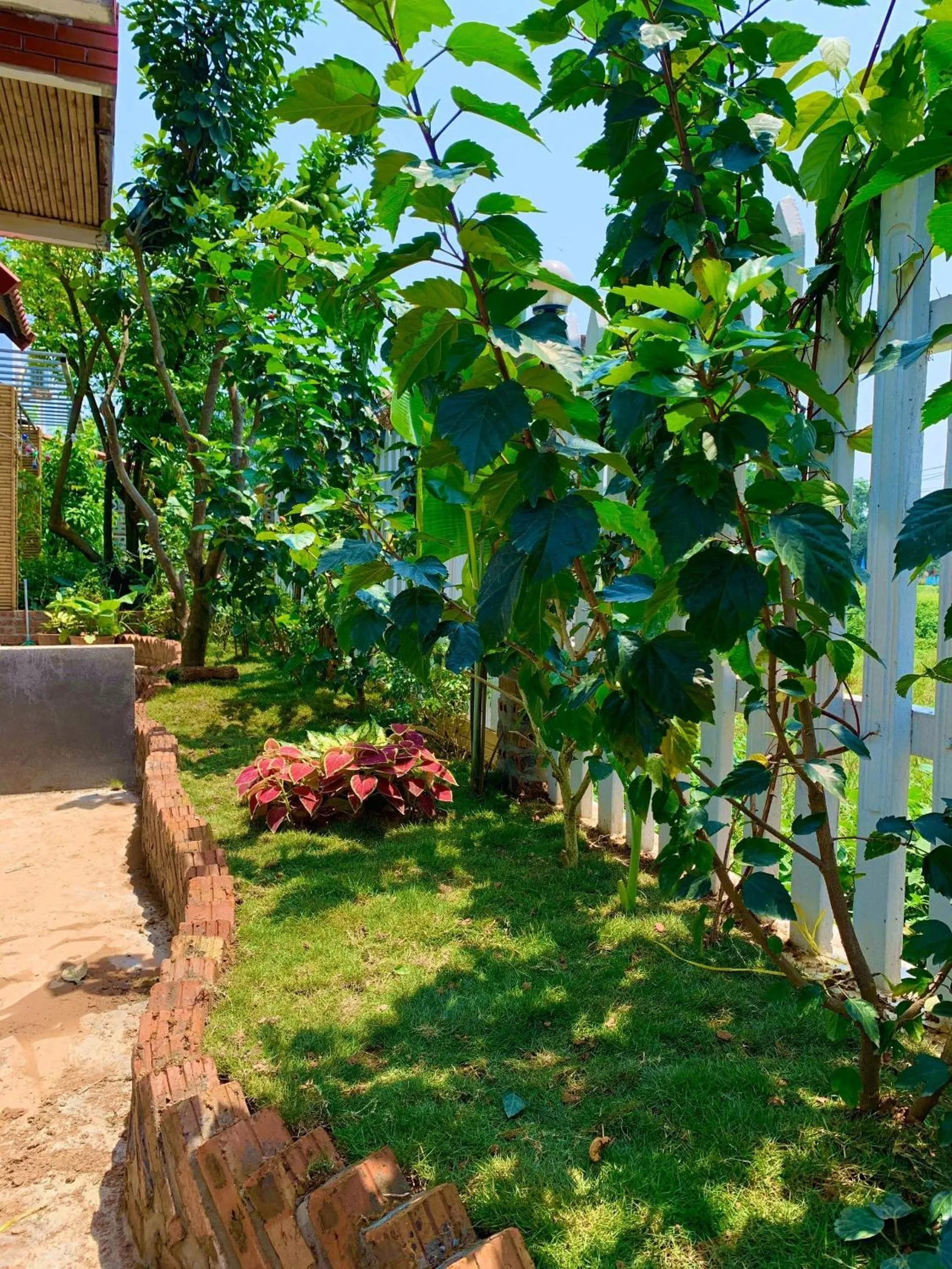 Garden in Tam Coc Mandala Villa & Homestay