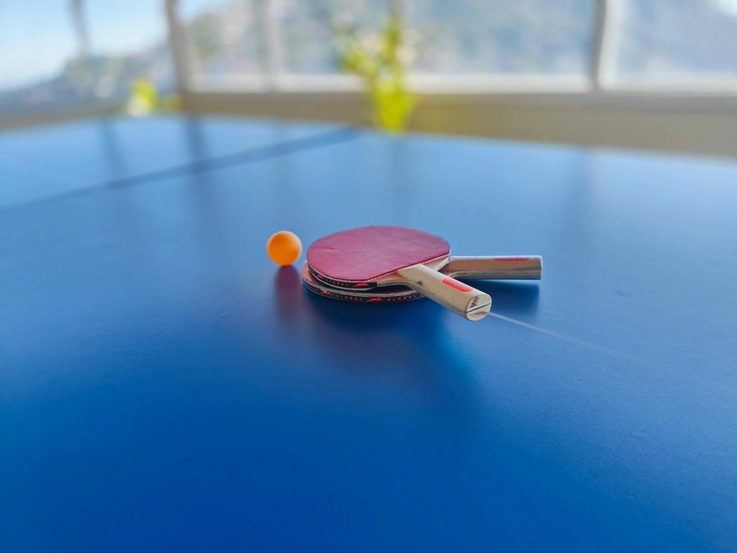 Table tennis in Mount Lungta Boutique Hotel & Spa
