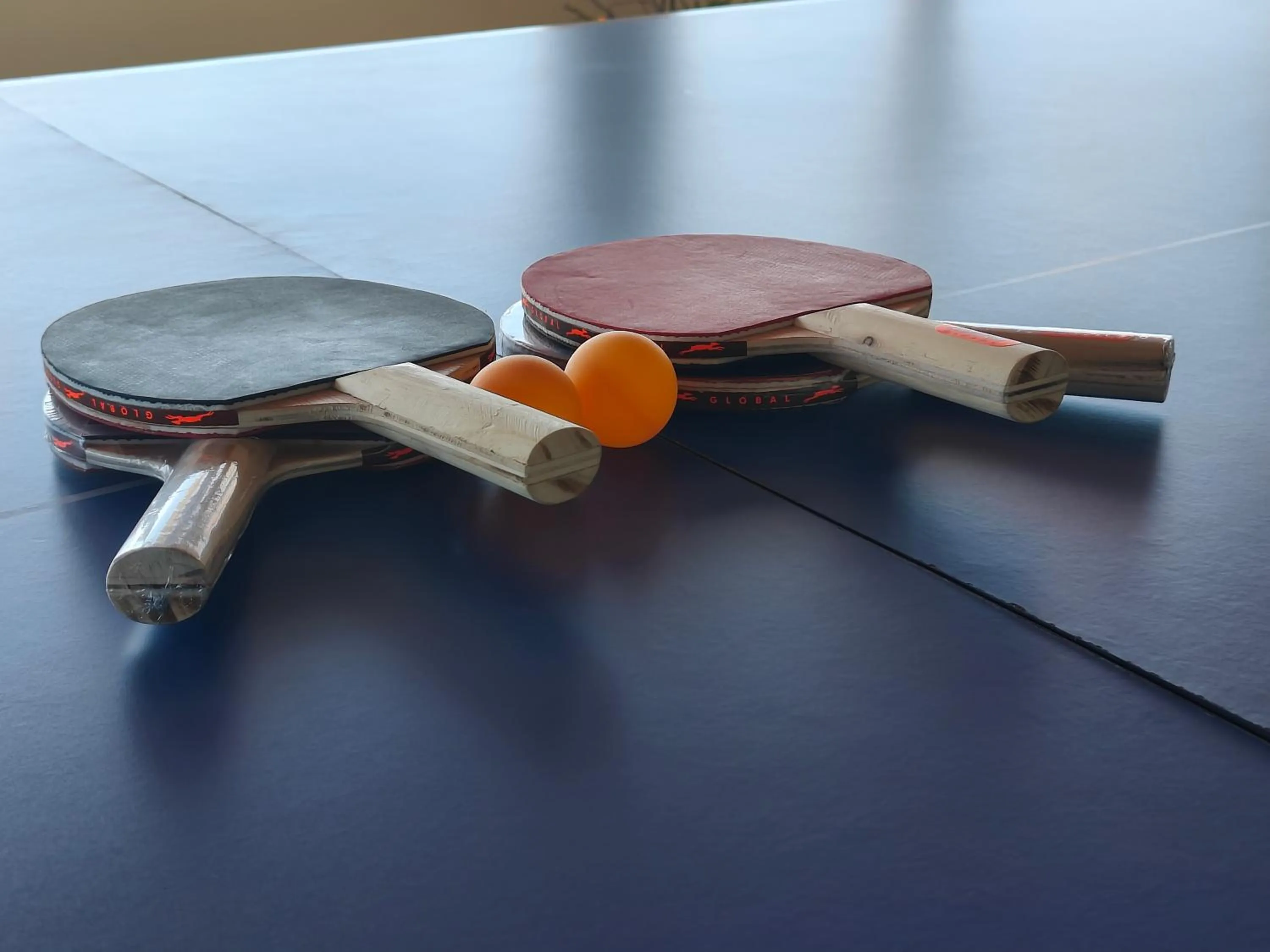 Table tennis in Mount Lungta Boutique Hotel & Spa
