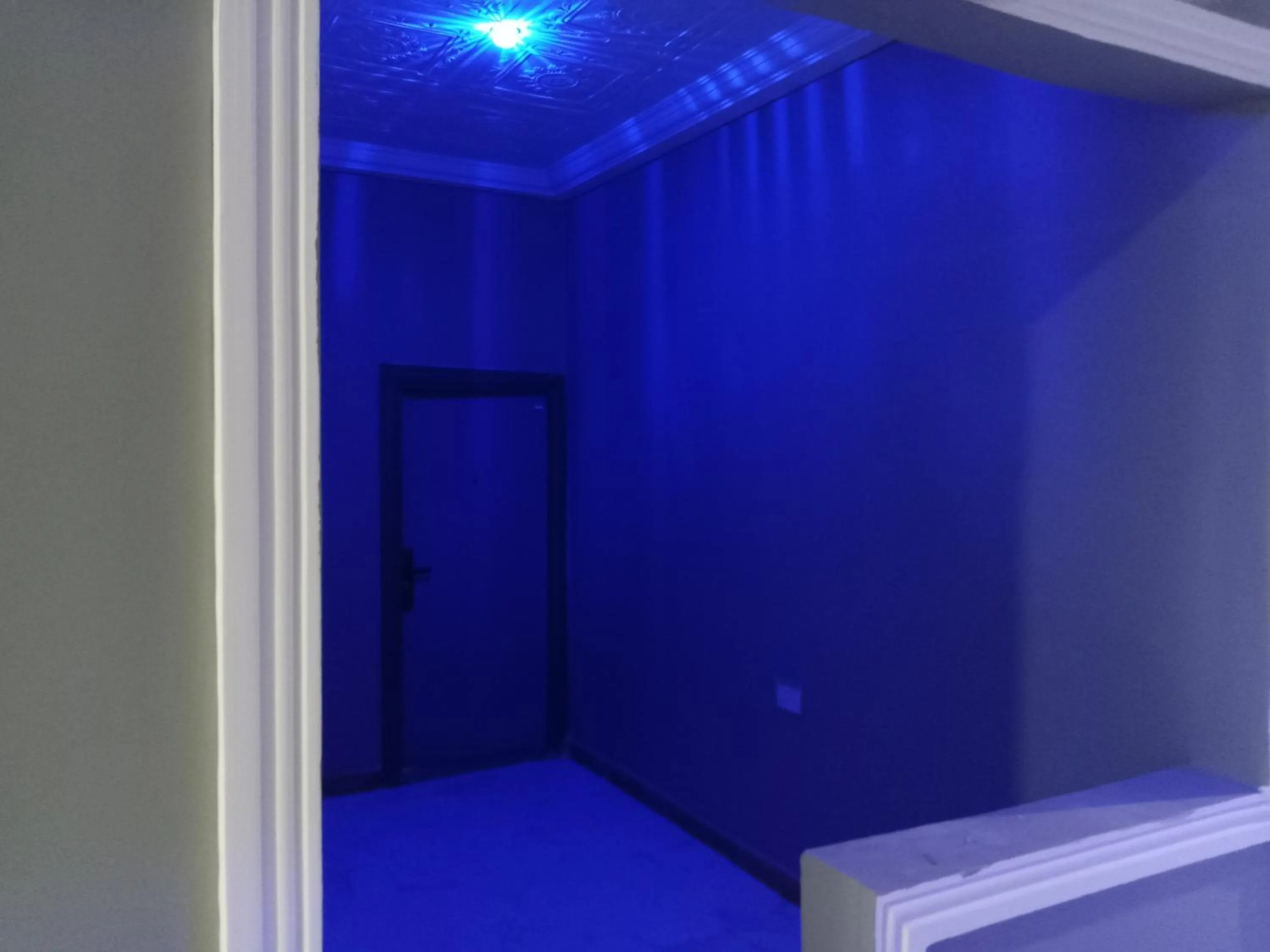 Dexxy's Palace Hotel