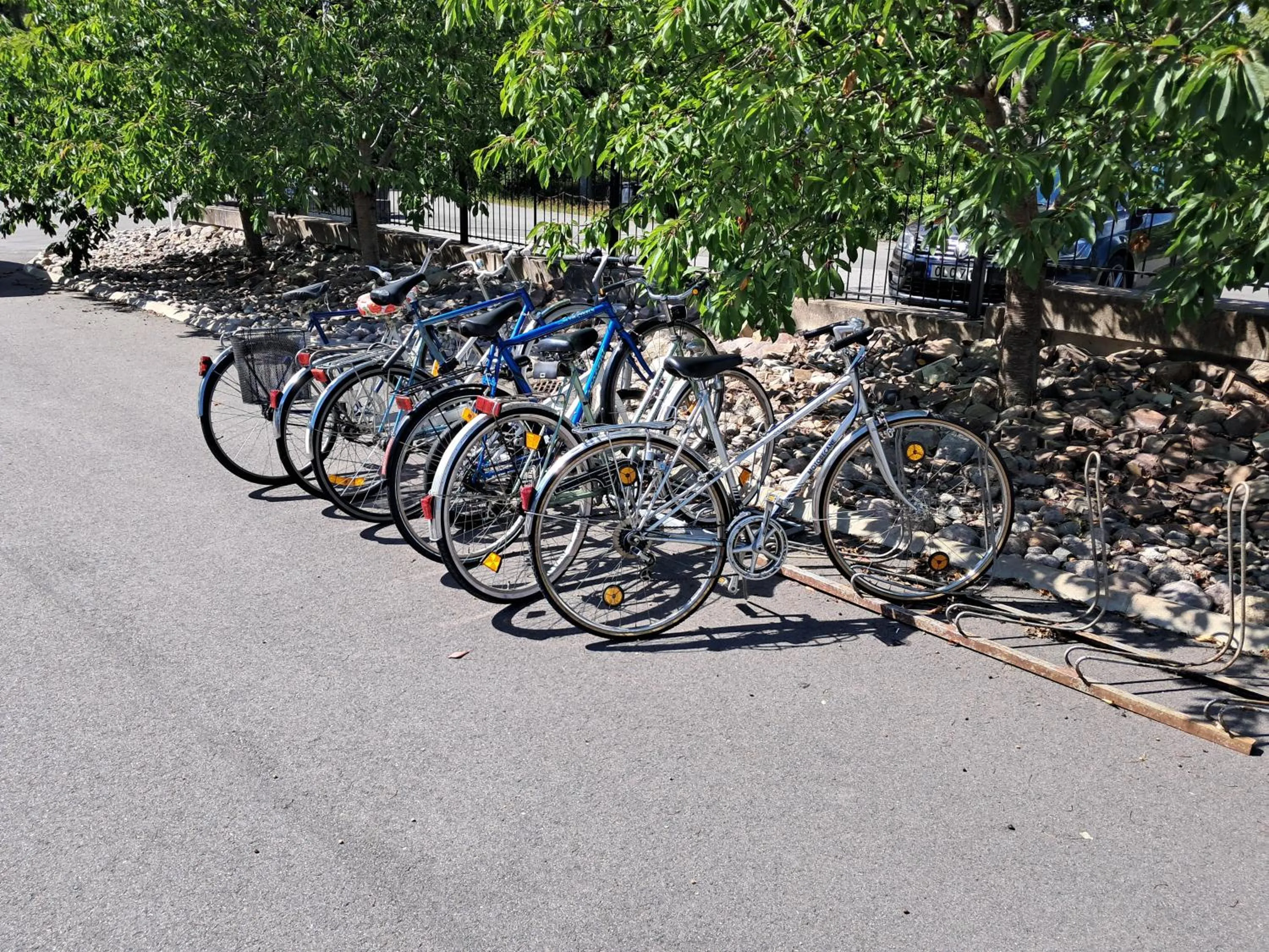 Activities in Ankis Bed and Brekfast, Vimmerby