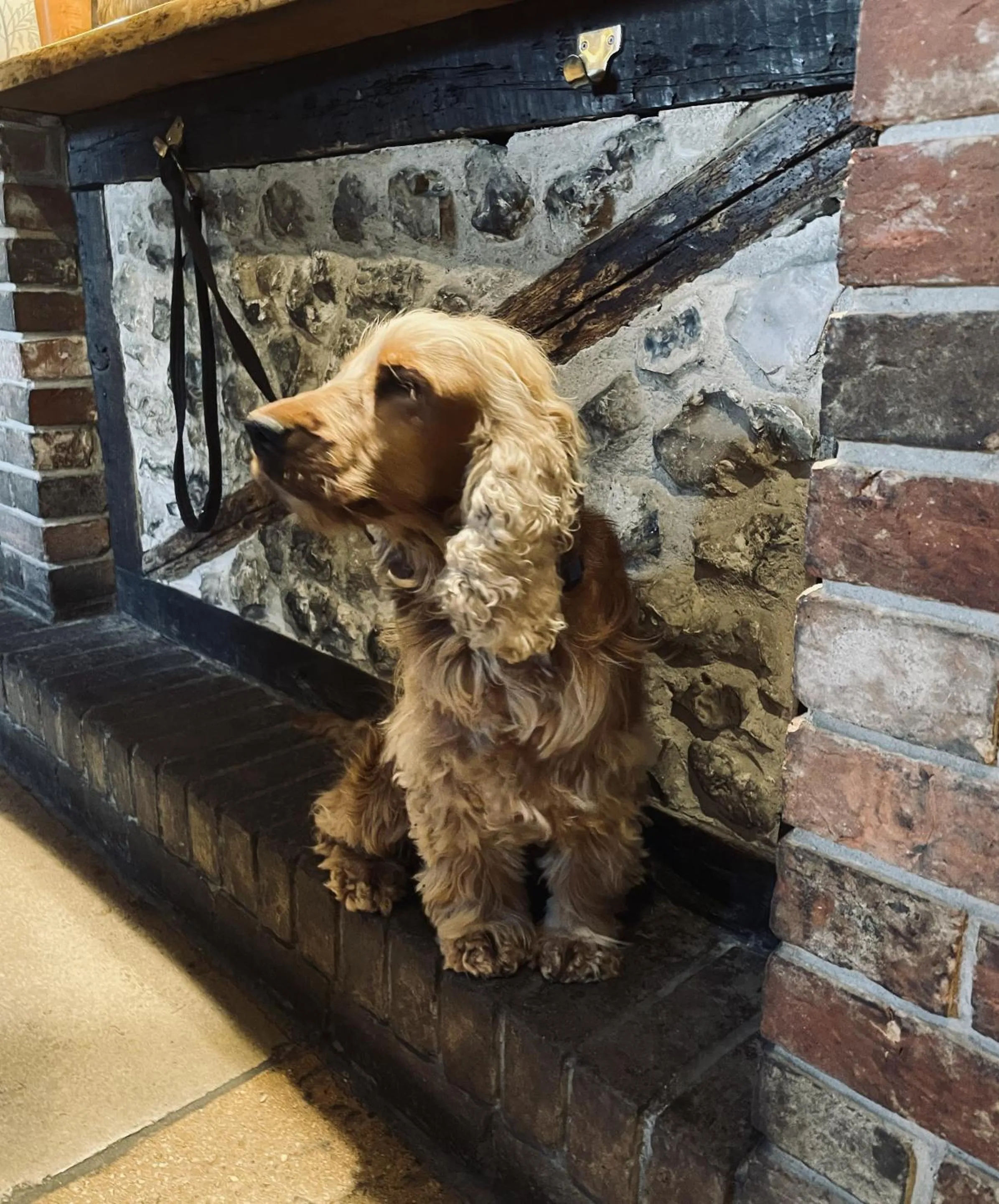 Other in The Greyhound Inn