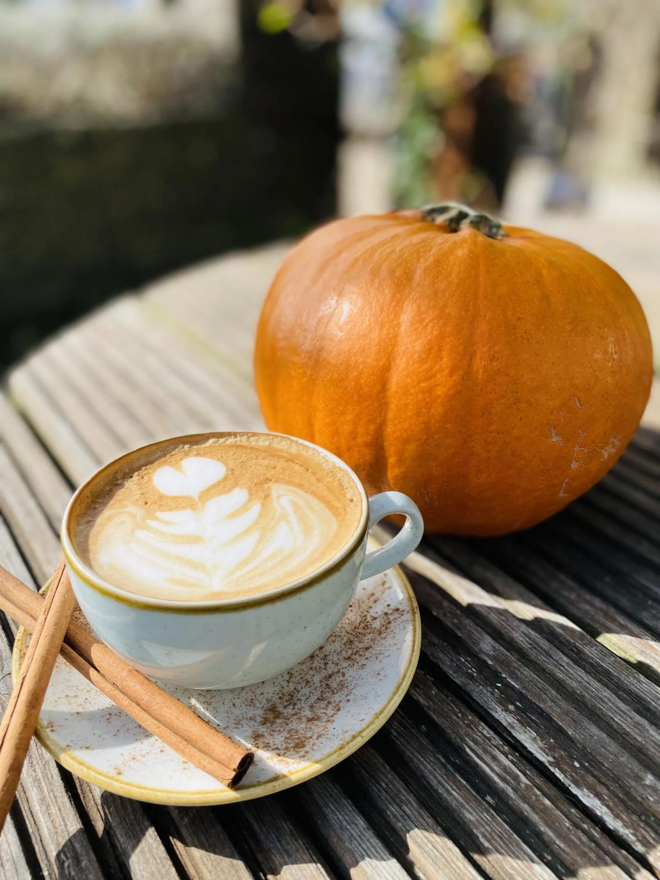 Food and drinks in The Greyhound Inn