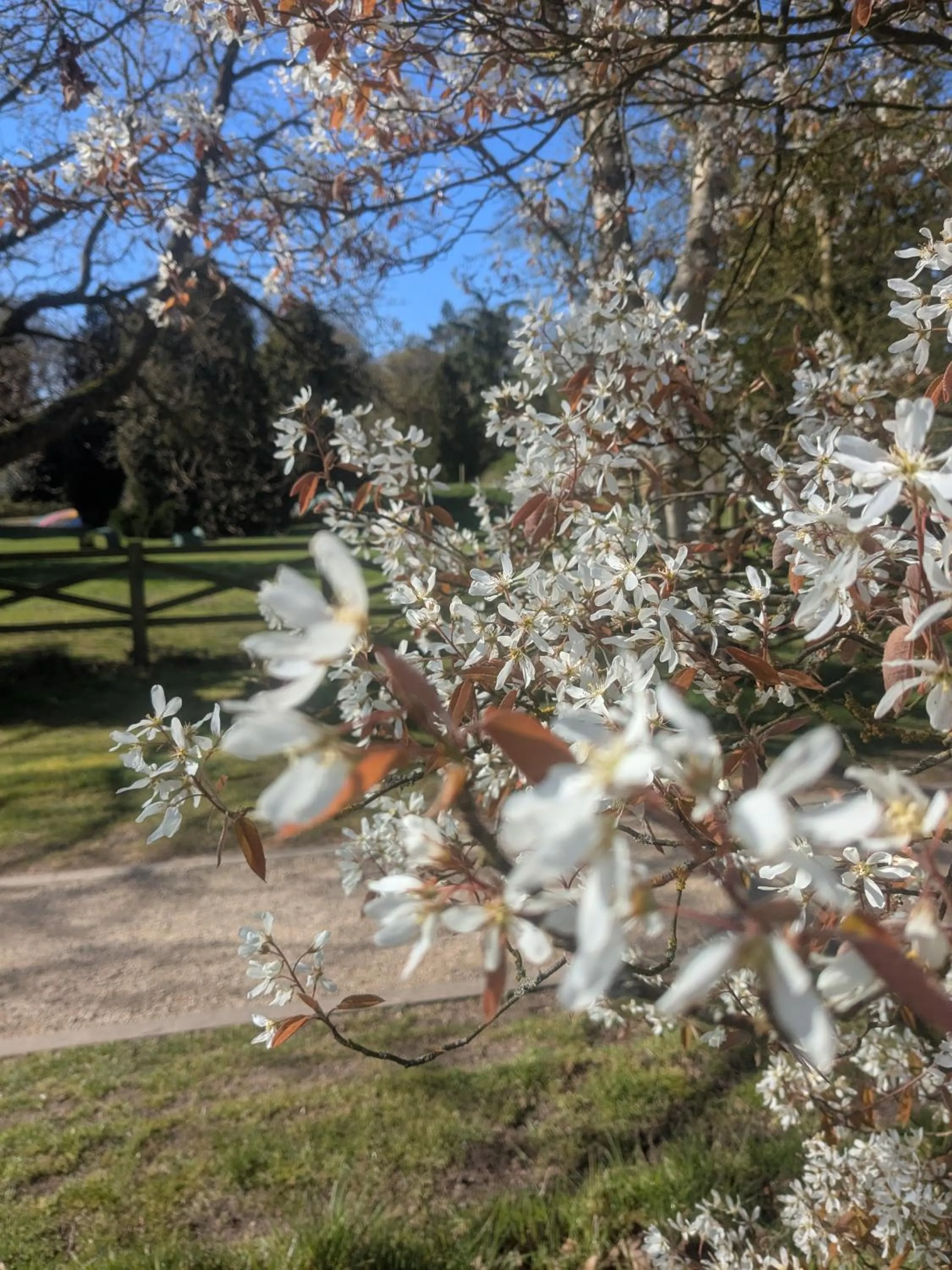 Fritton Lake - The Clubhouse