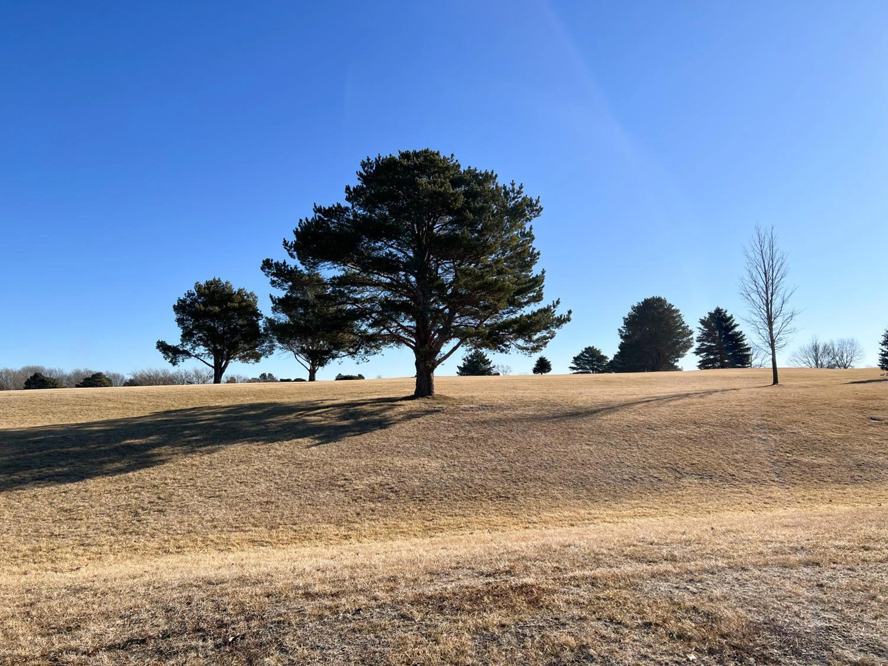 Property building in The Trail Inn - Sutton, Nebraska - US-6 HWY