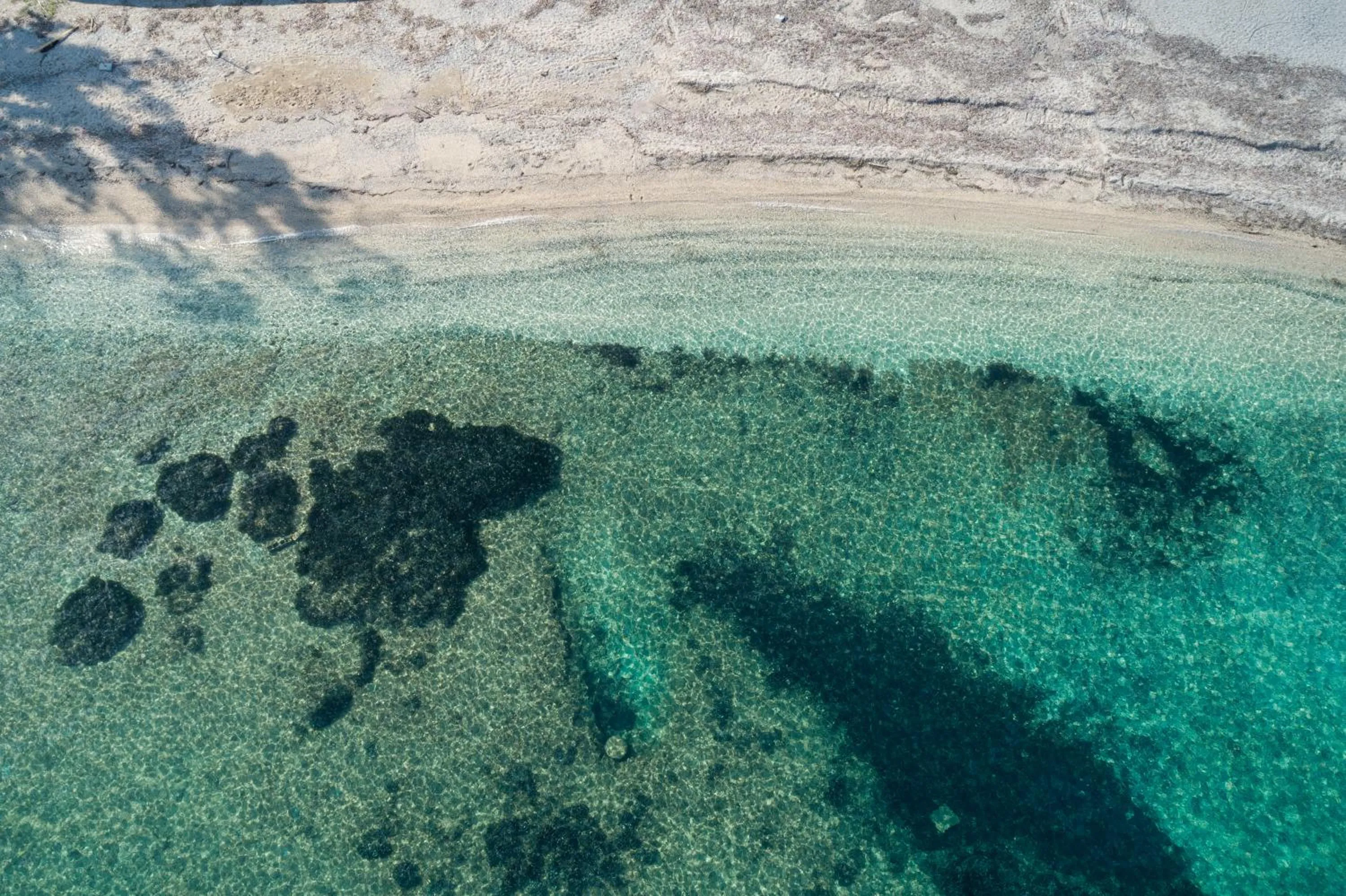 Neighbourhood in Bella Vista Beach Hotel