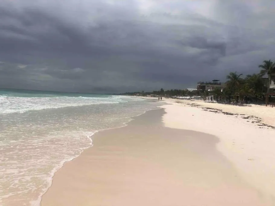 Near Beach+Jungle Views. King bed+220 megs+2 bikes