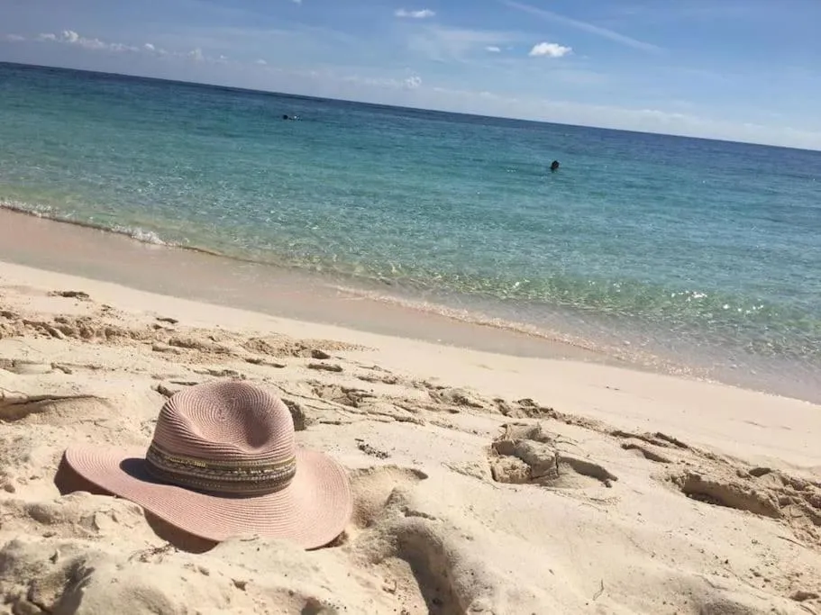 Near Beach+Jungle Views. King bed+220 megs+2 bikes