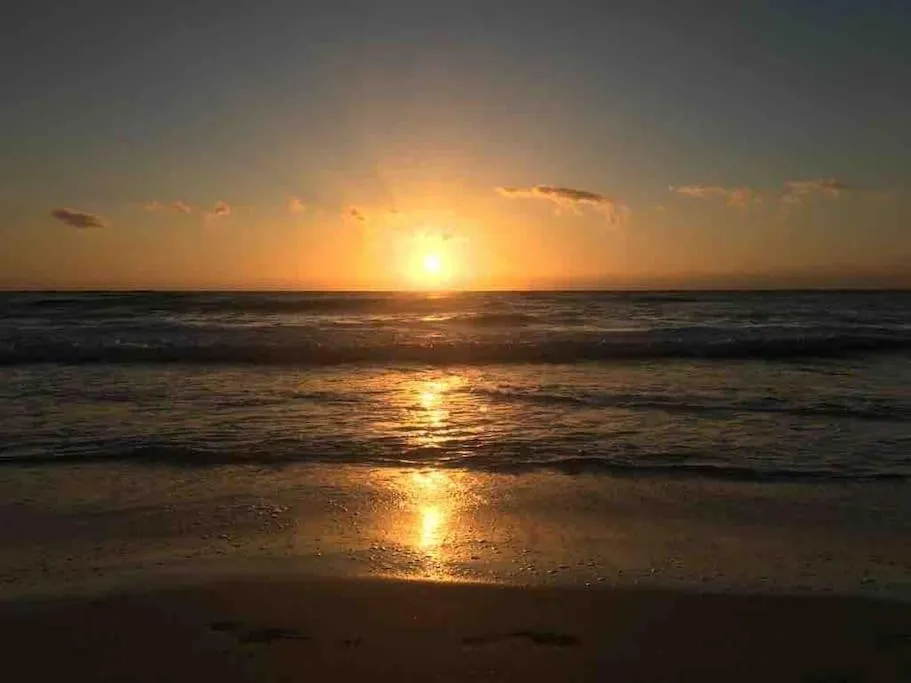 Near Beach+Jungle Views. King bed+220 megs+2 bikes