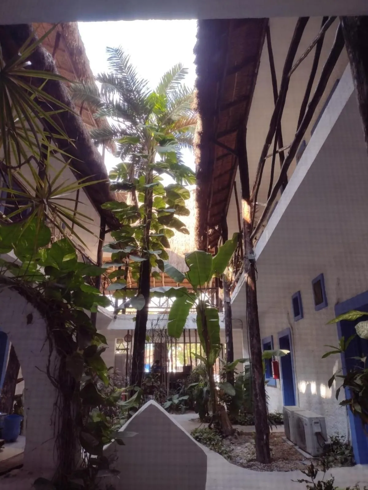 Garden view in MIO Tulum Hotel Boutique