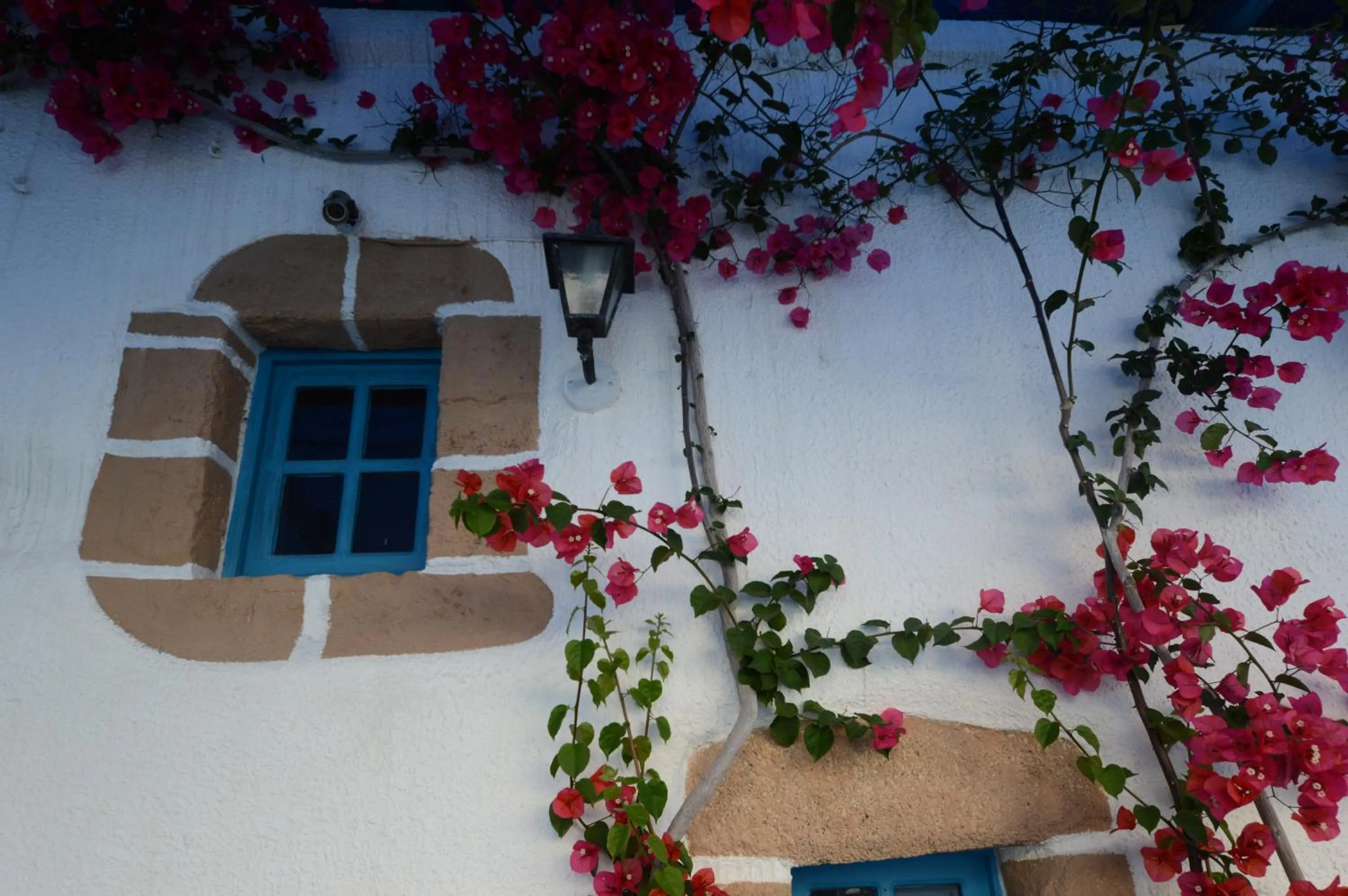 Area and facilities in Hotel Africa