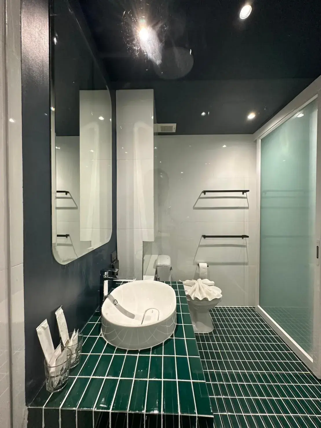 Standard Single Room in Hotel Sapin Standard Single Room in Hotel Sapin