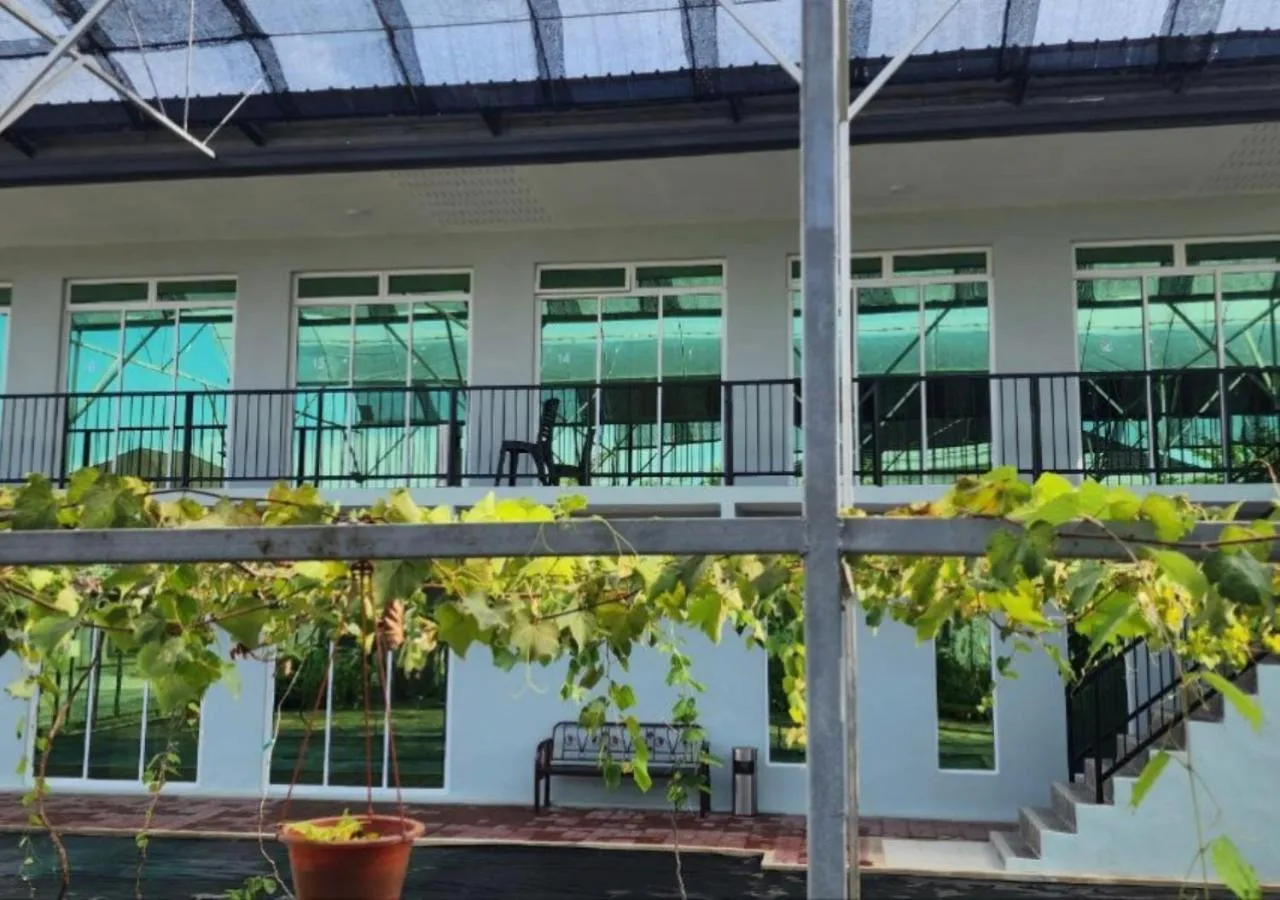 View (from property/room) in Grapevine Garden