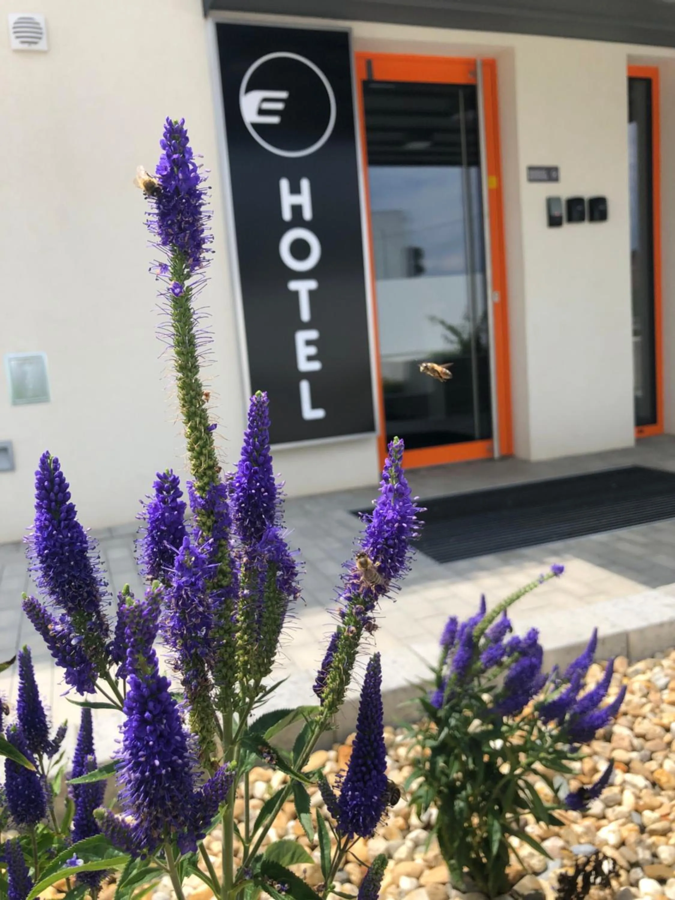 Facade/entrance in Eleven Business & Sport Hotel