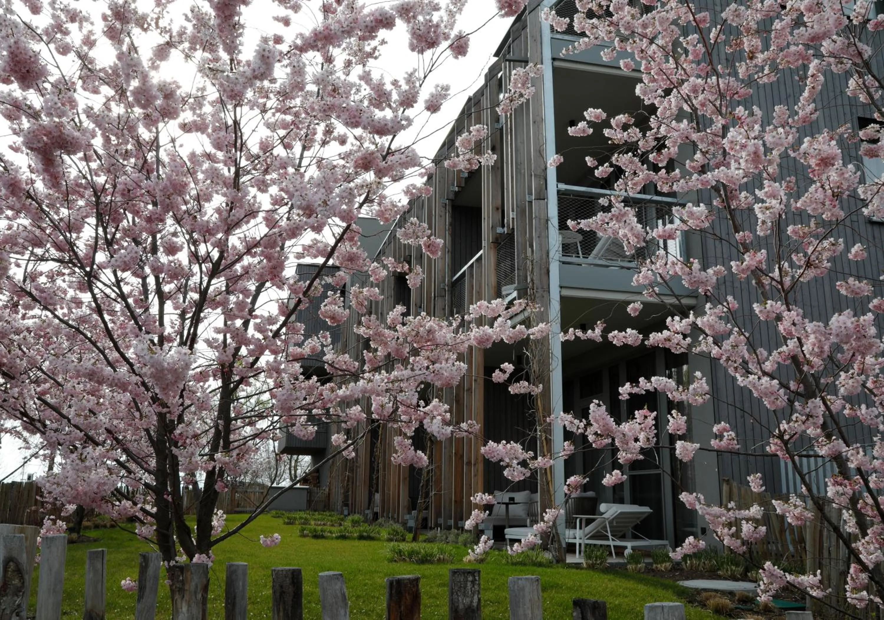 Garden view in Nils am See - ADULTS ONLY ab 18 Jahren