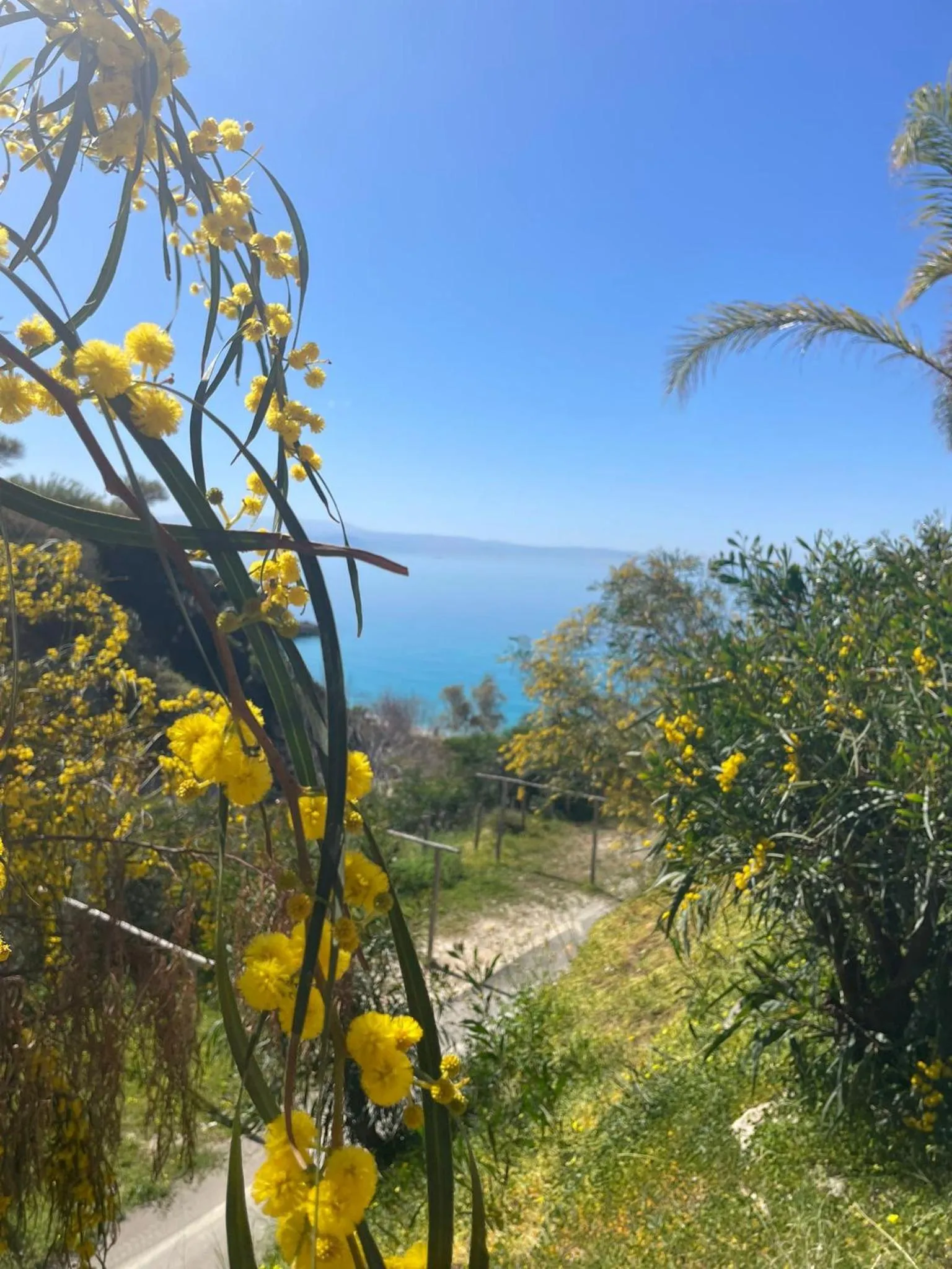 Natural landscape in ValGiuSi Resort