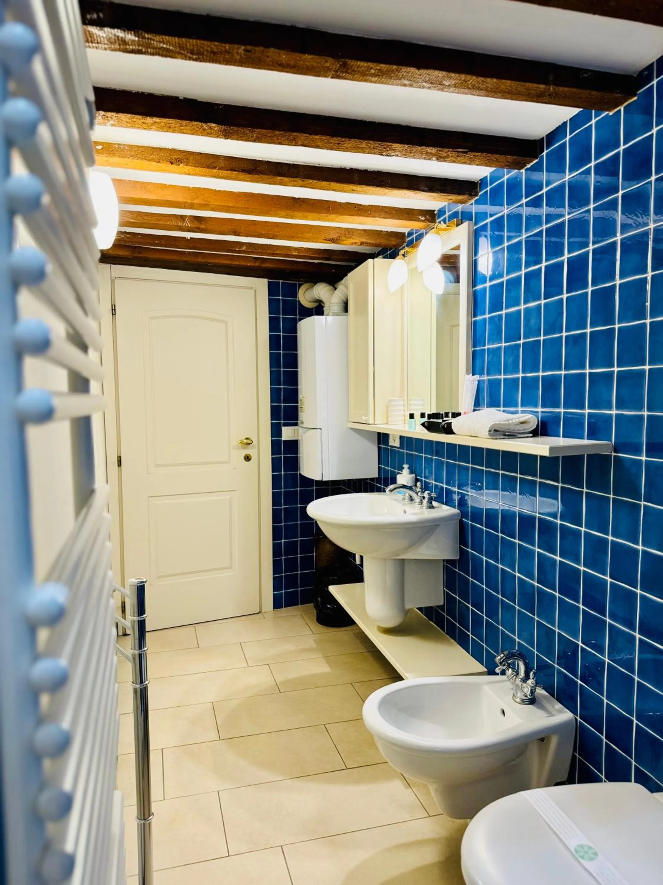 Toilet in First Dream Venice