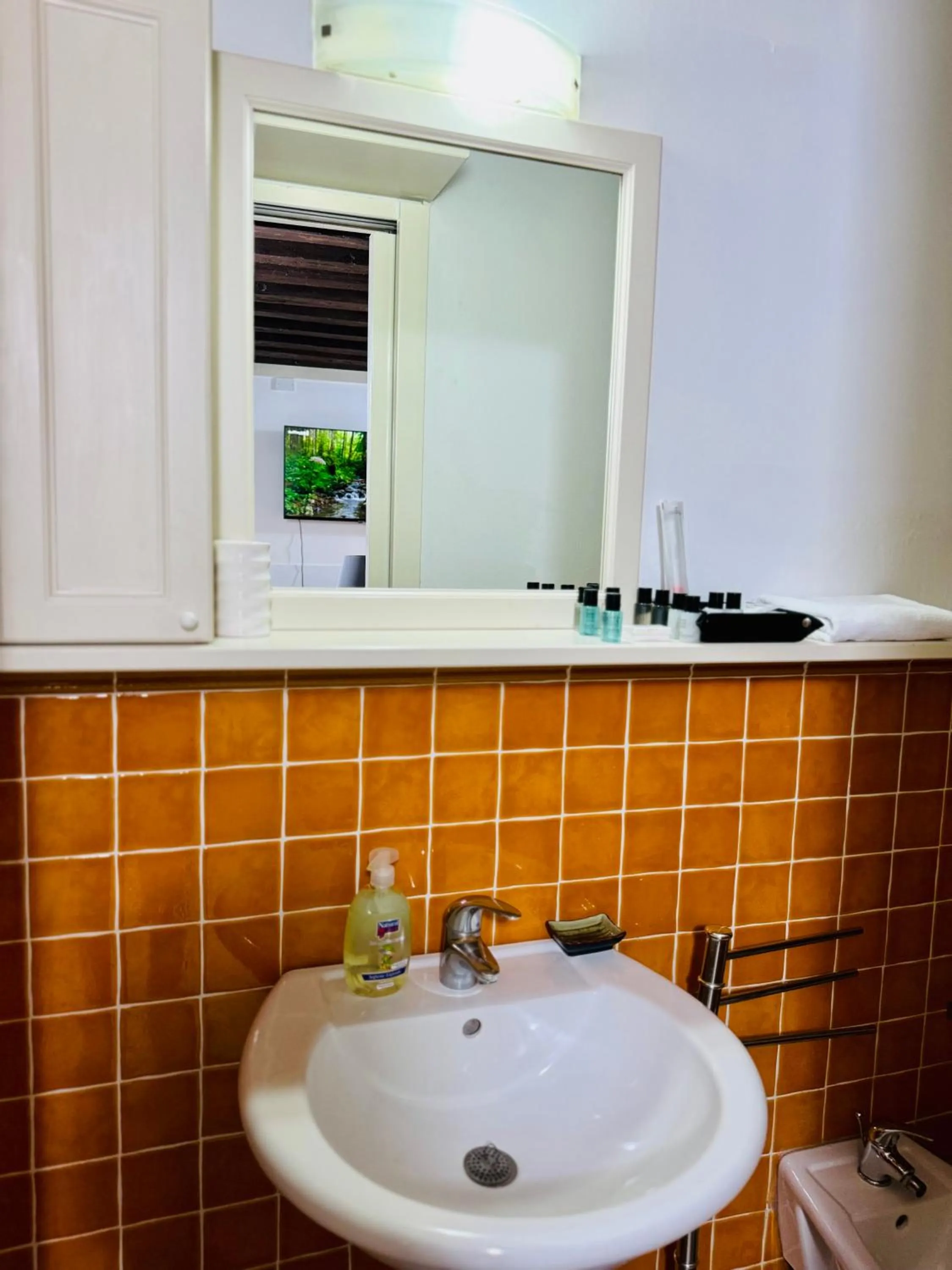 Bathroom in First Dream Venice