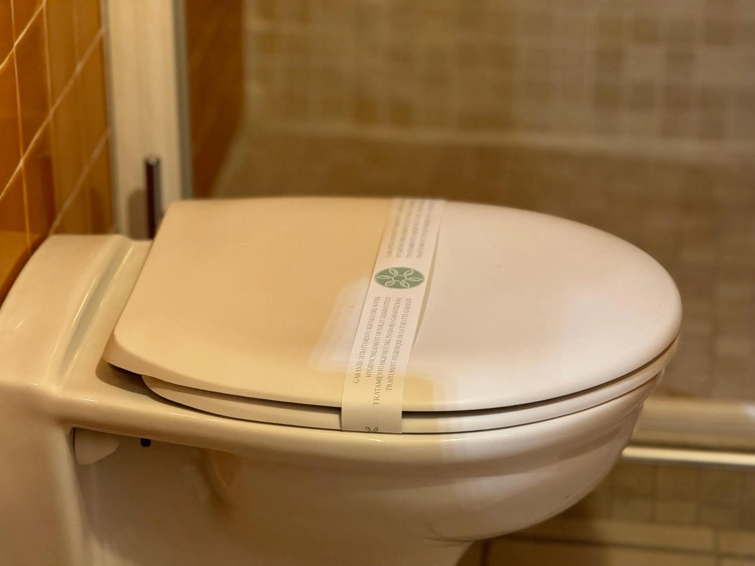 Toilet in First Dream Venice