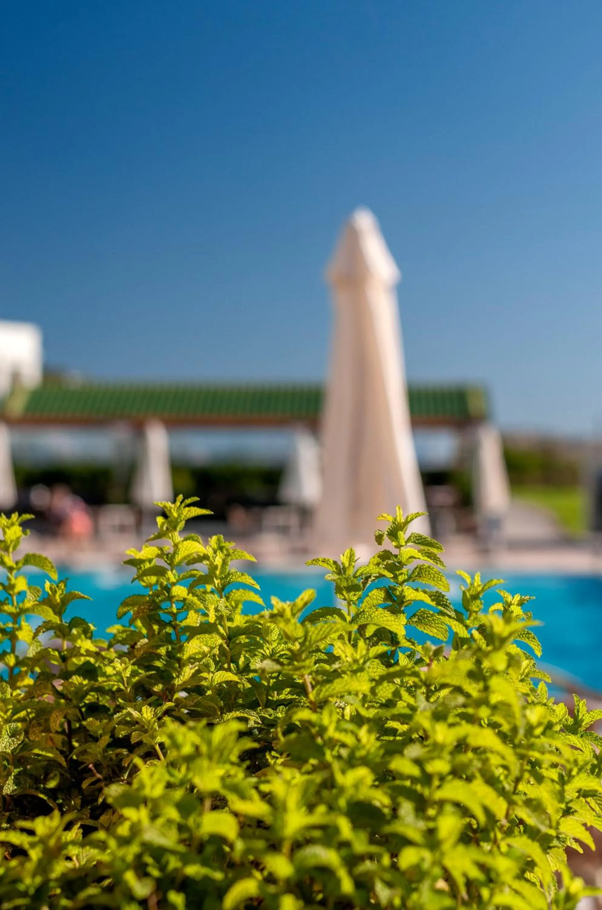 Other in Apollo Beach