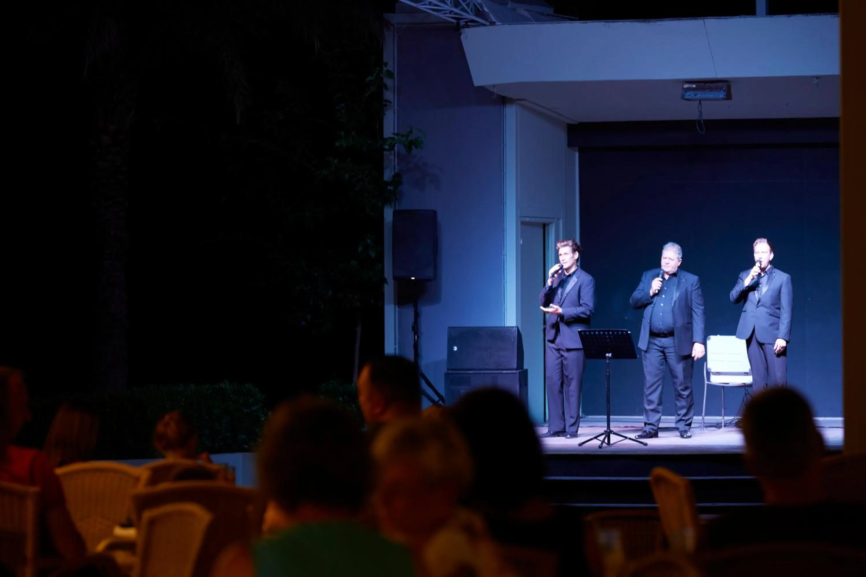 Evening entertainment in Apollo Beach