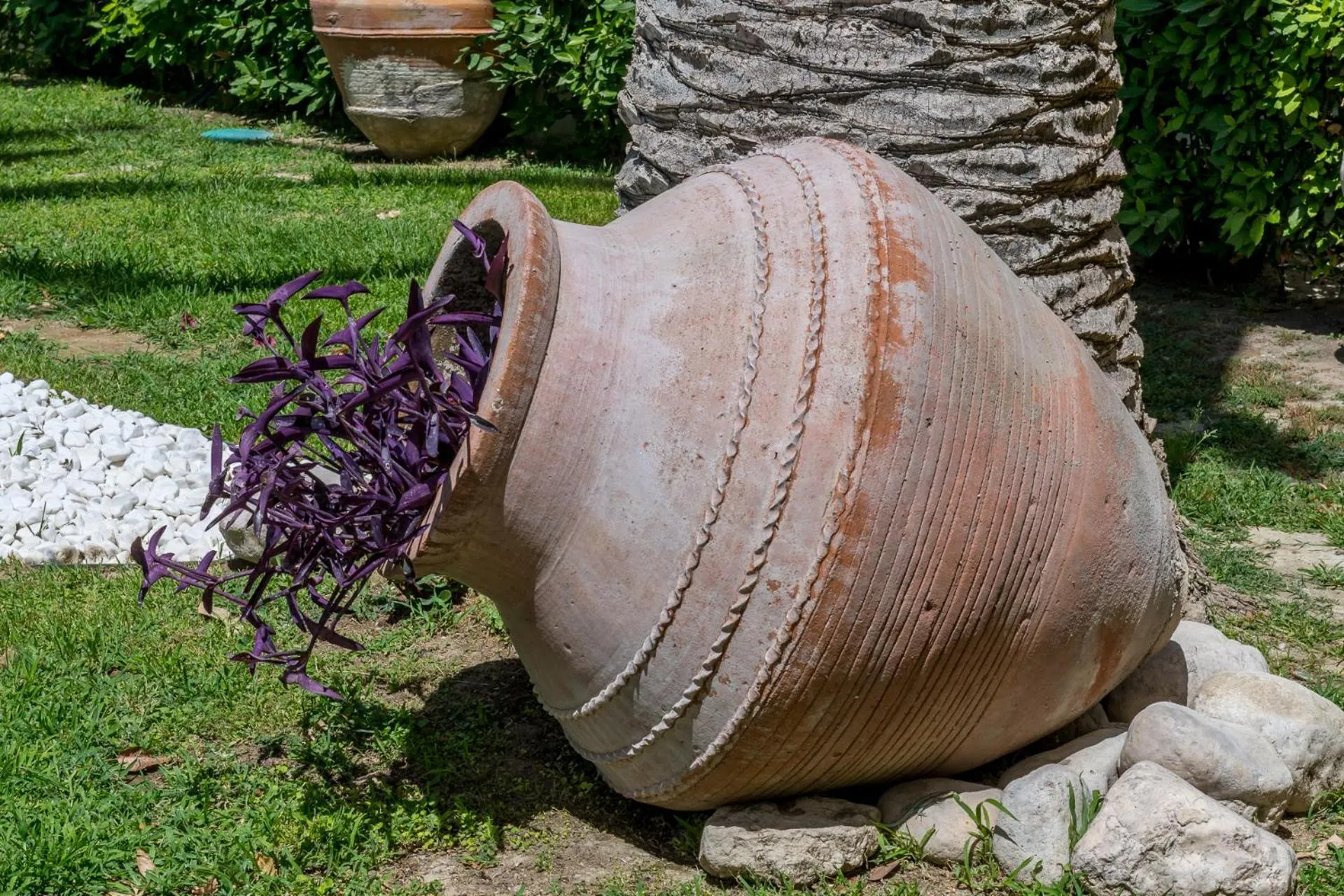 Garden in Apollo Beach