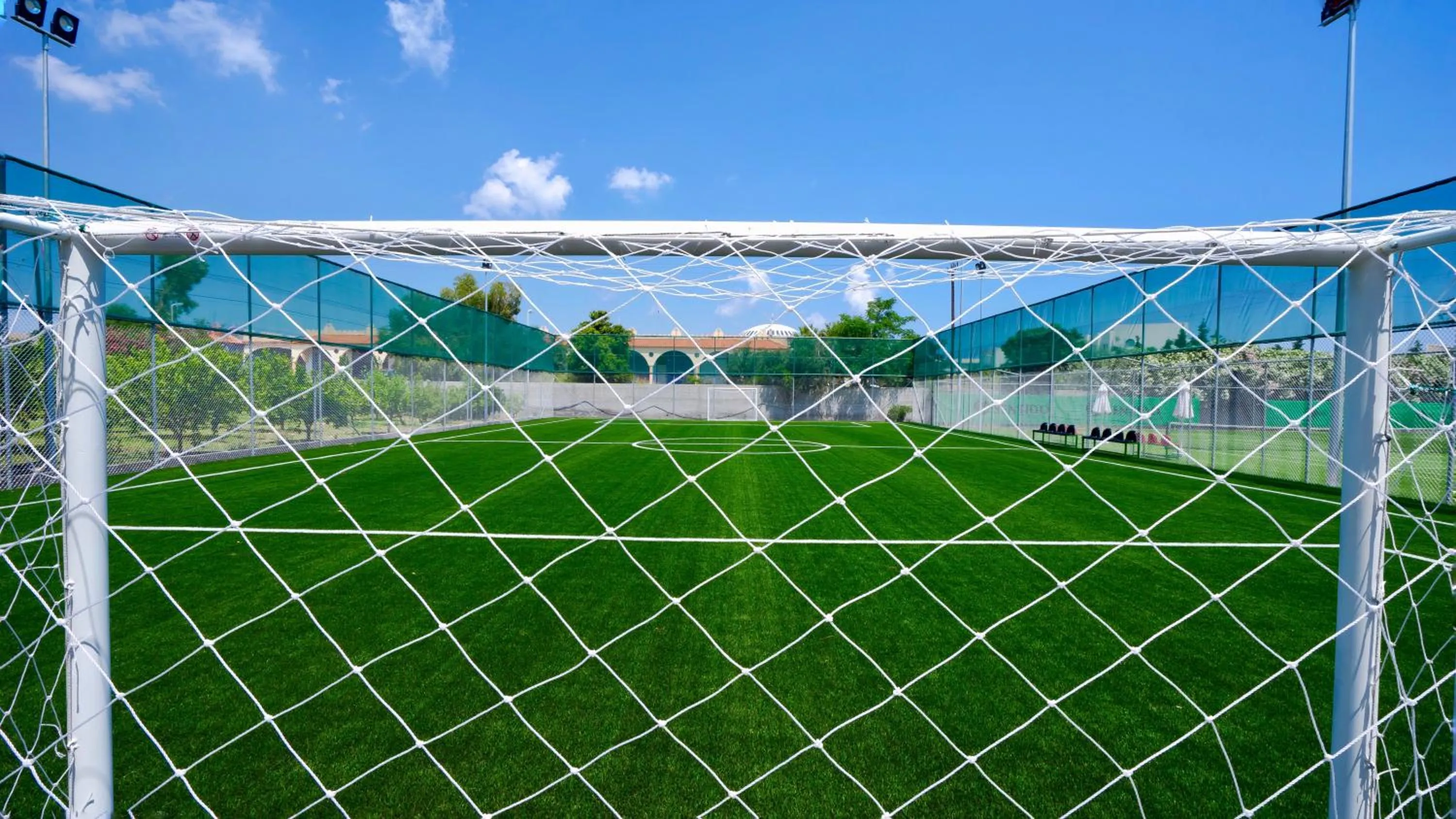 Sports in Apollo Beach