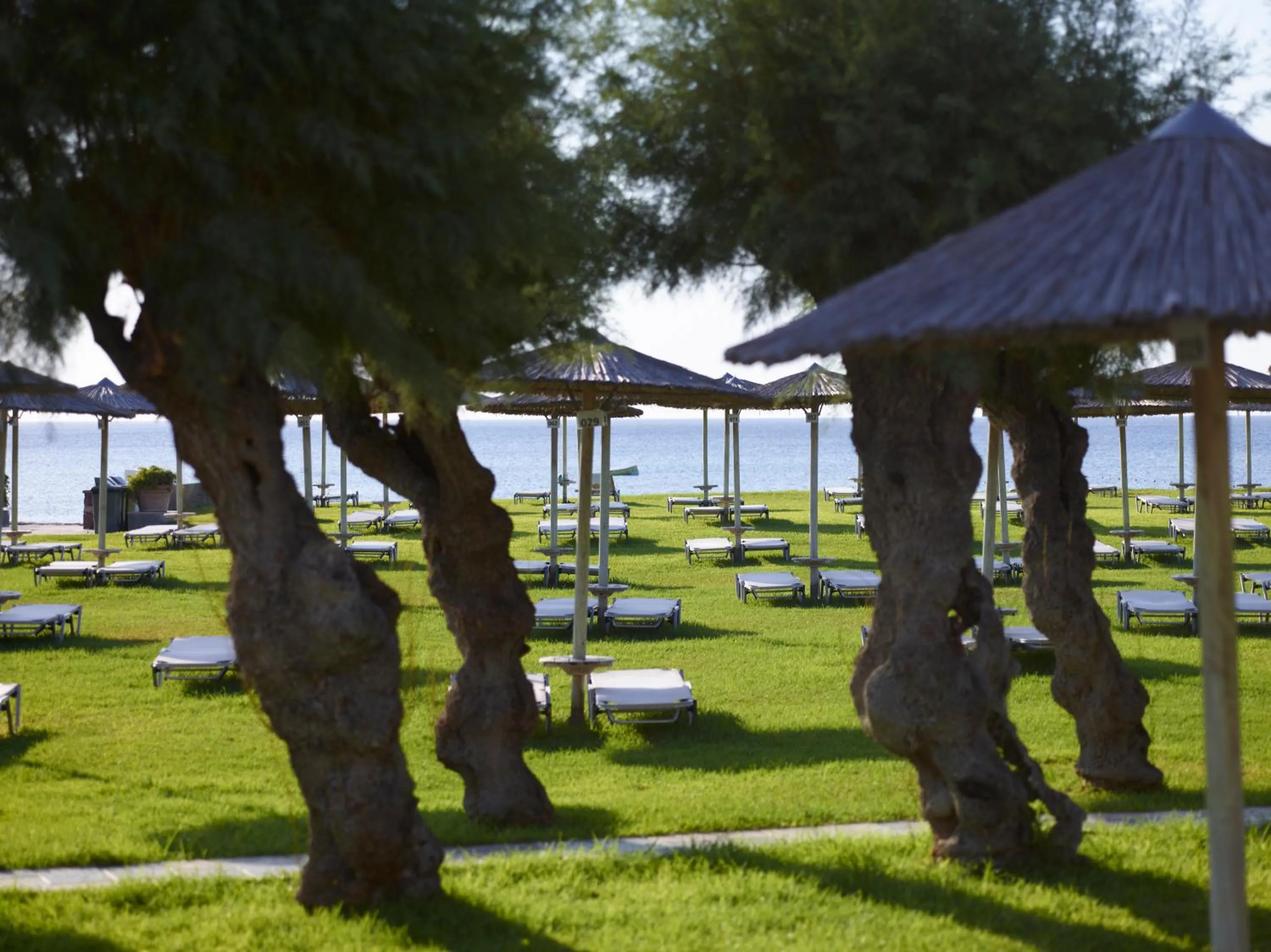 Garden in Apollo Beach