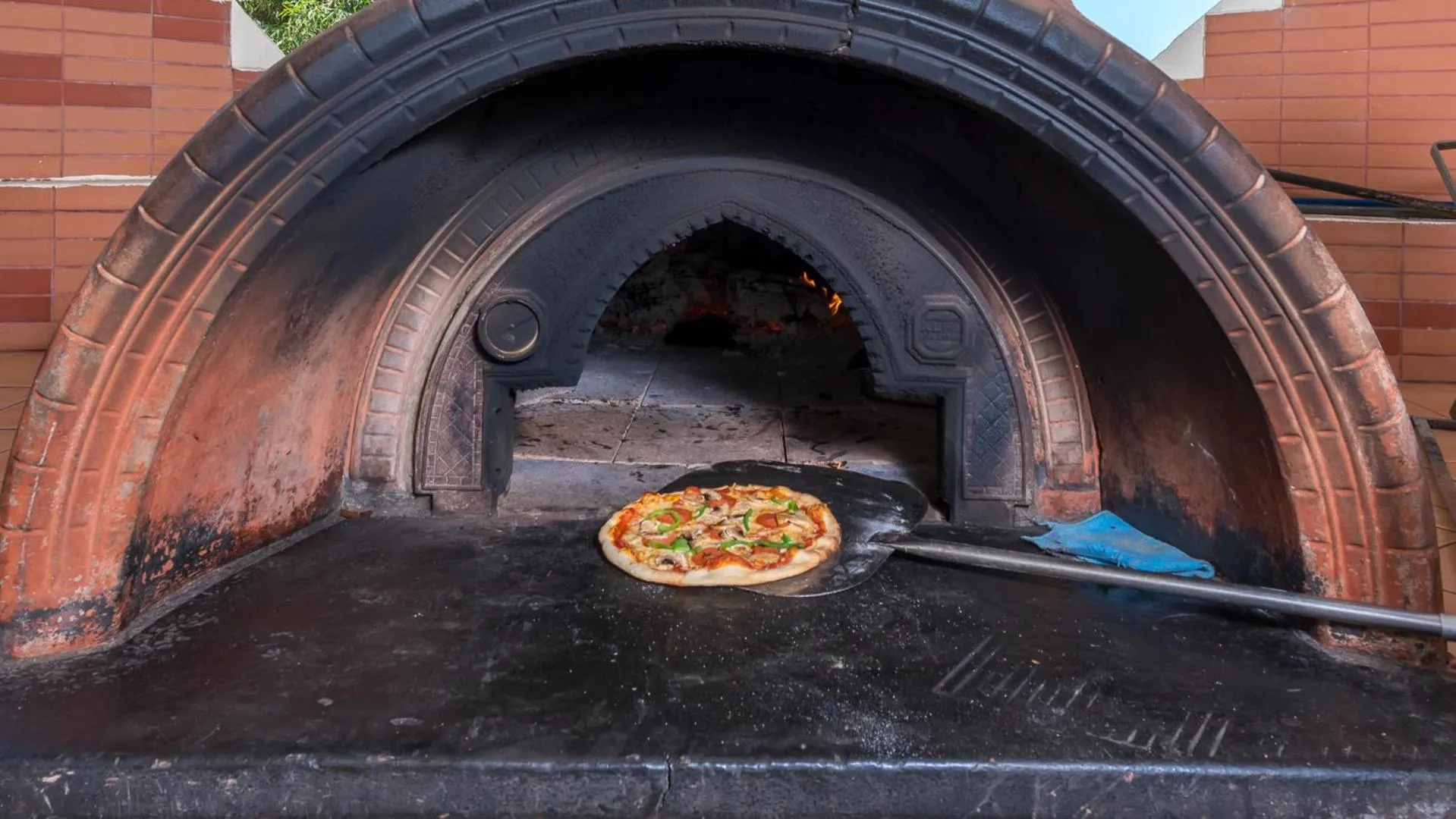 Food close-up in Apollo Beach