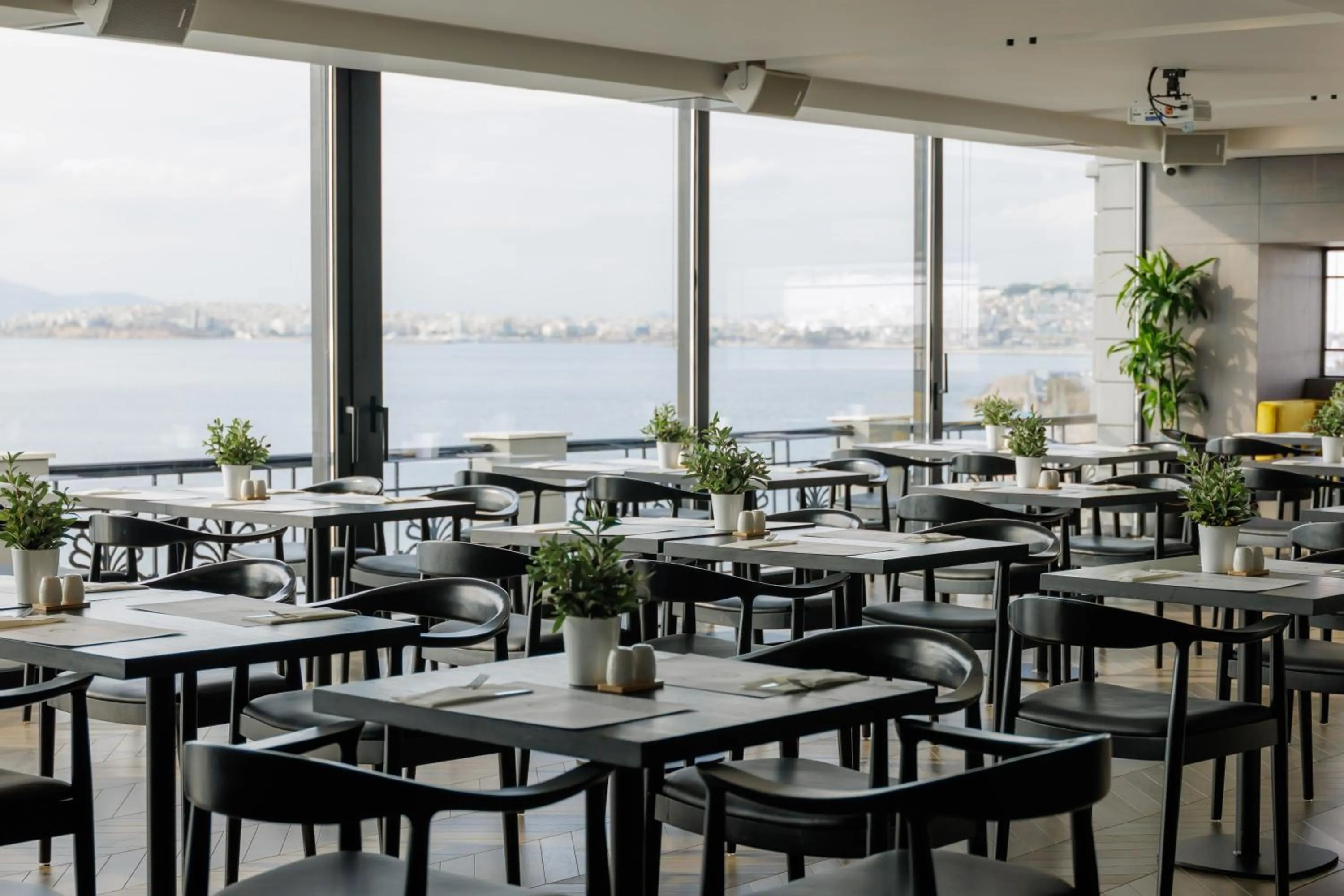 Natural landscape in Coral Hotel Athens