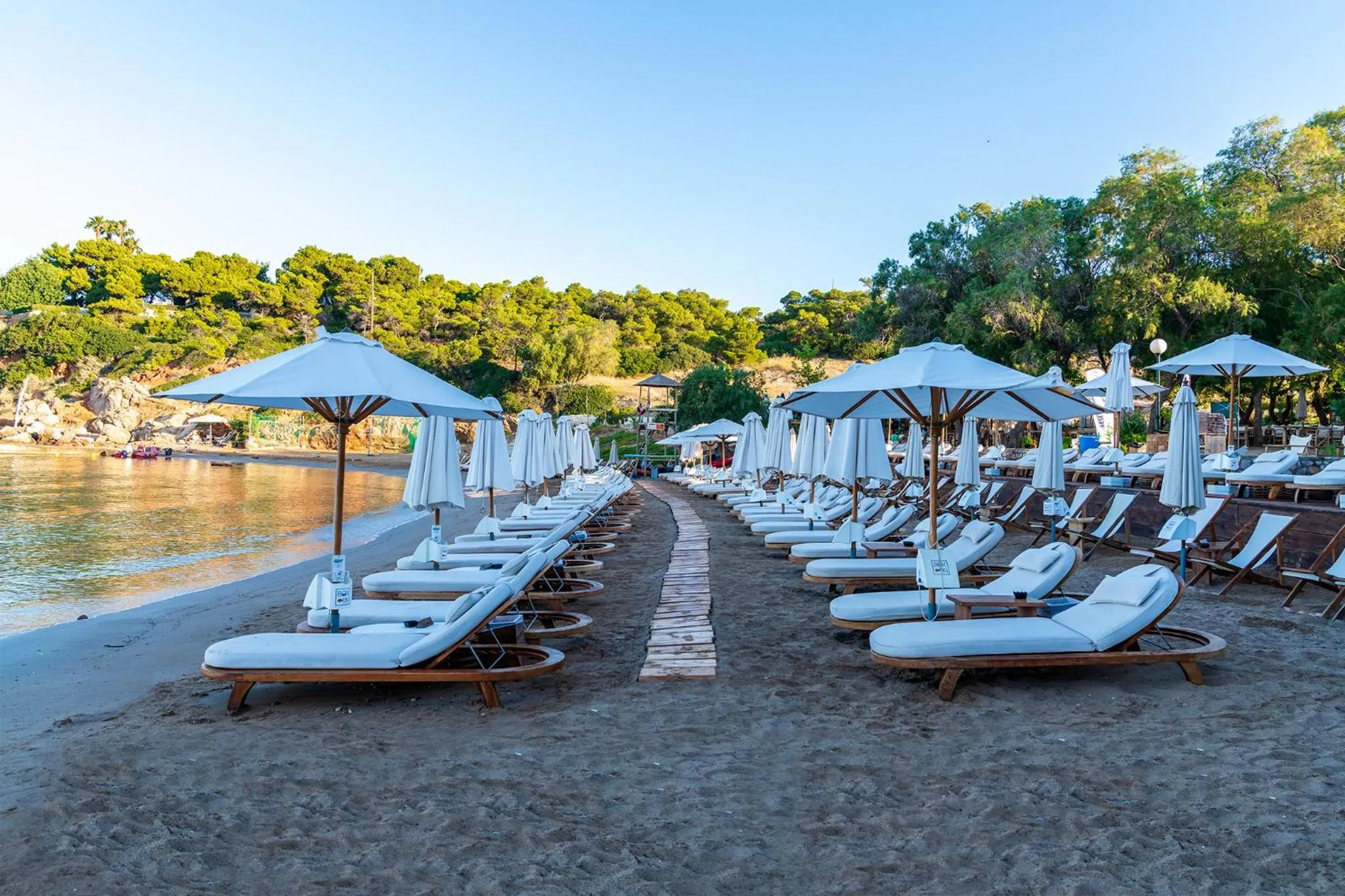 Area and facilities in Coral Hotel Athens