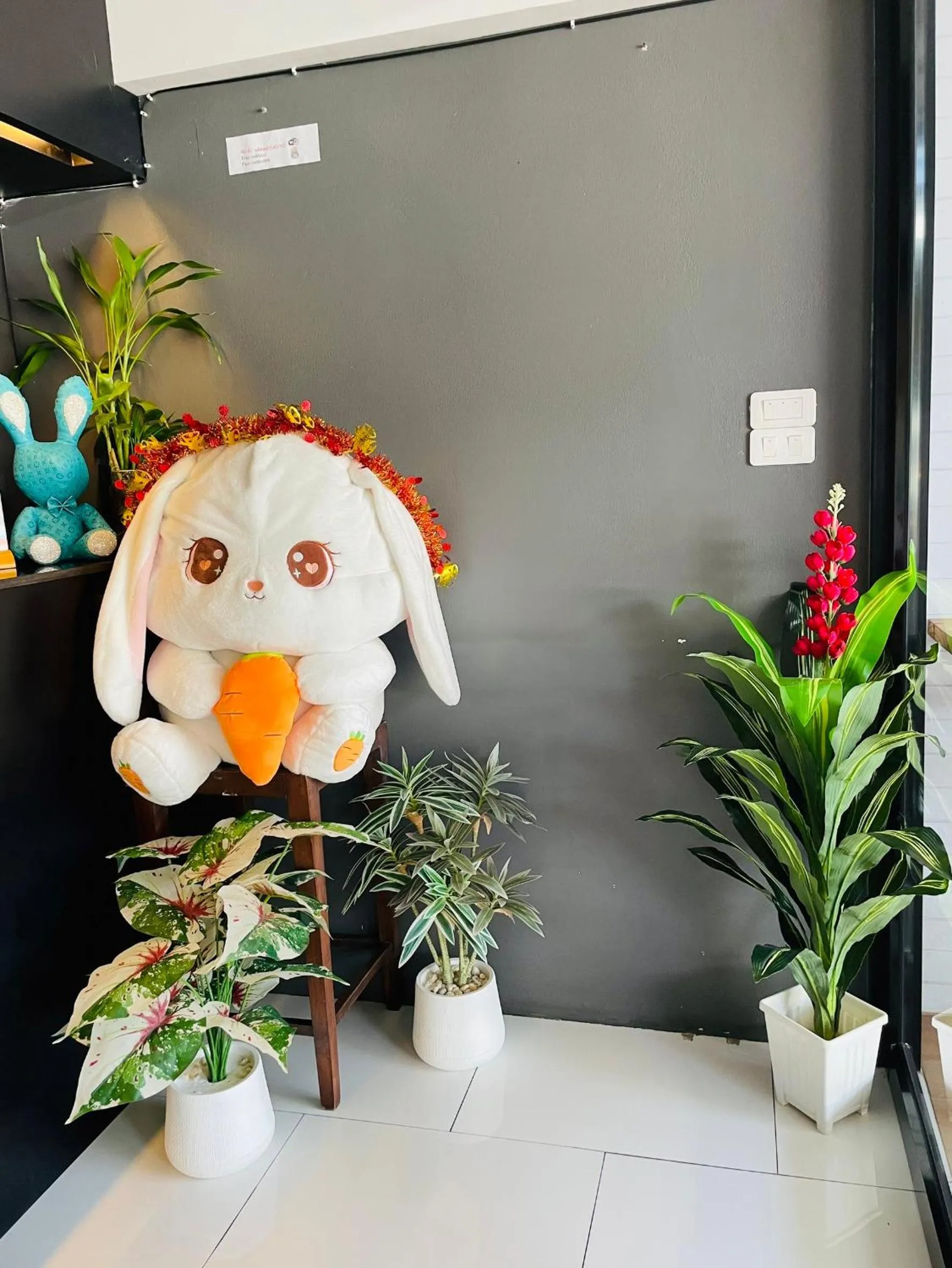 Property building in Rabbitel Phuket