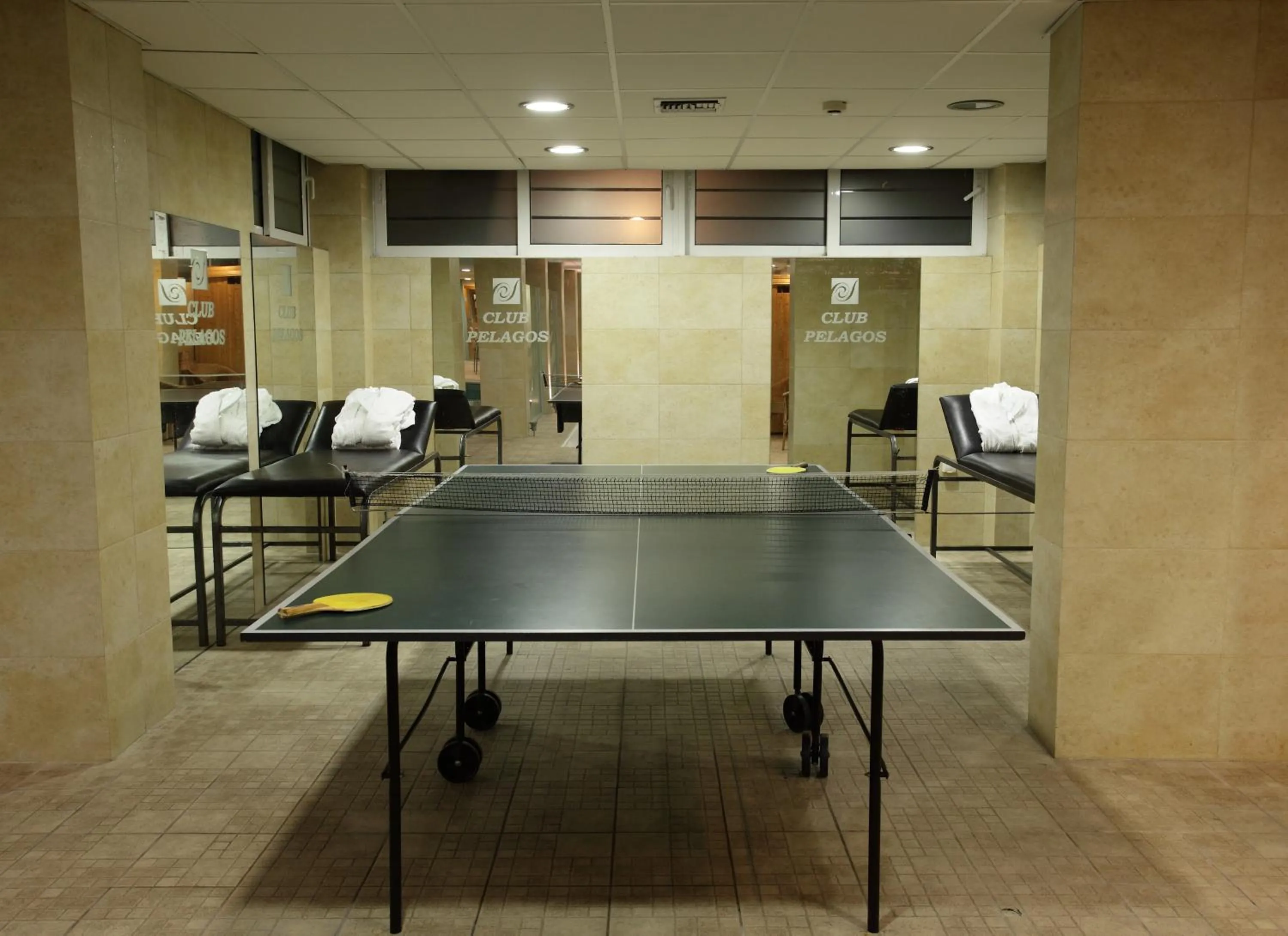 Table tennis in Athina Airport Hotel