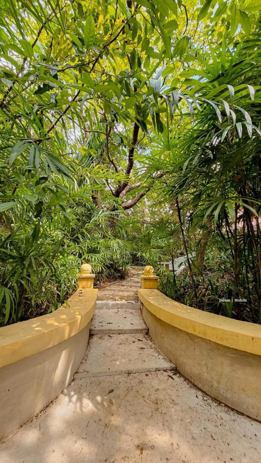 Natural landscape in Ceylon Kingsmen Garden - Katunayake Airport Transit Hotels