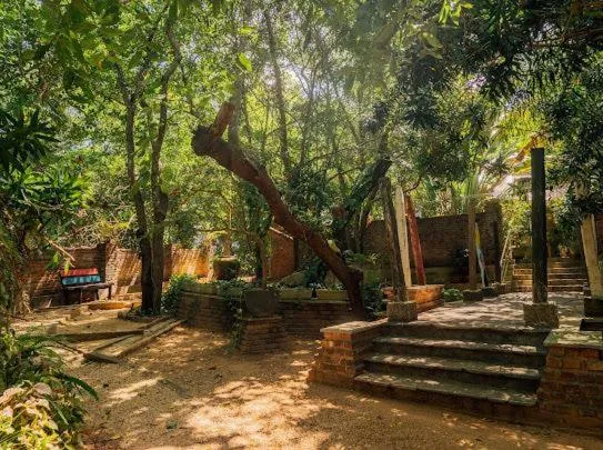 Natural landscape in Ceylon Kingsmen Garden - Katunayake Airport Transit Hotels