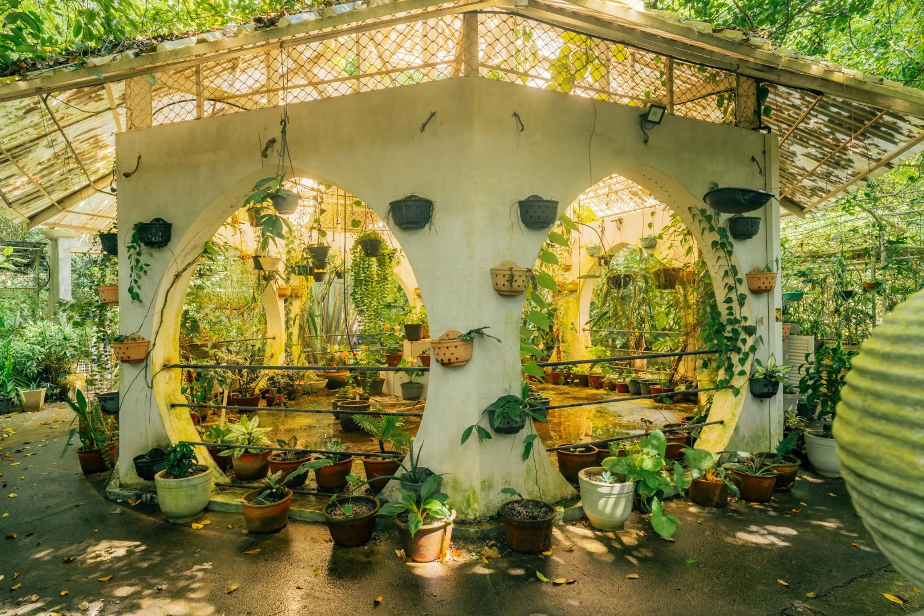 Ceylon Kingsmen Garden - Katunayake Airport Transit Hotels