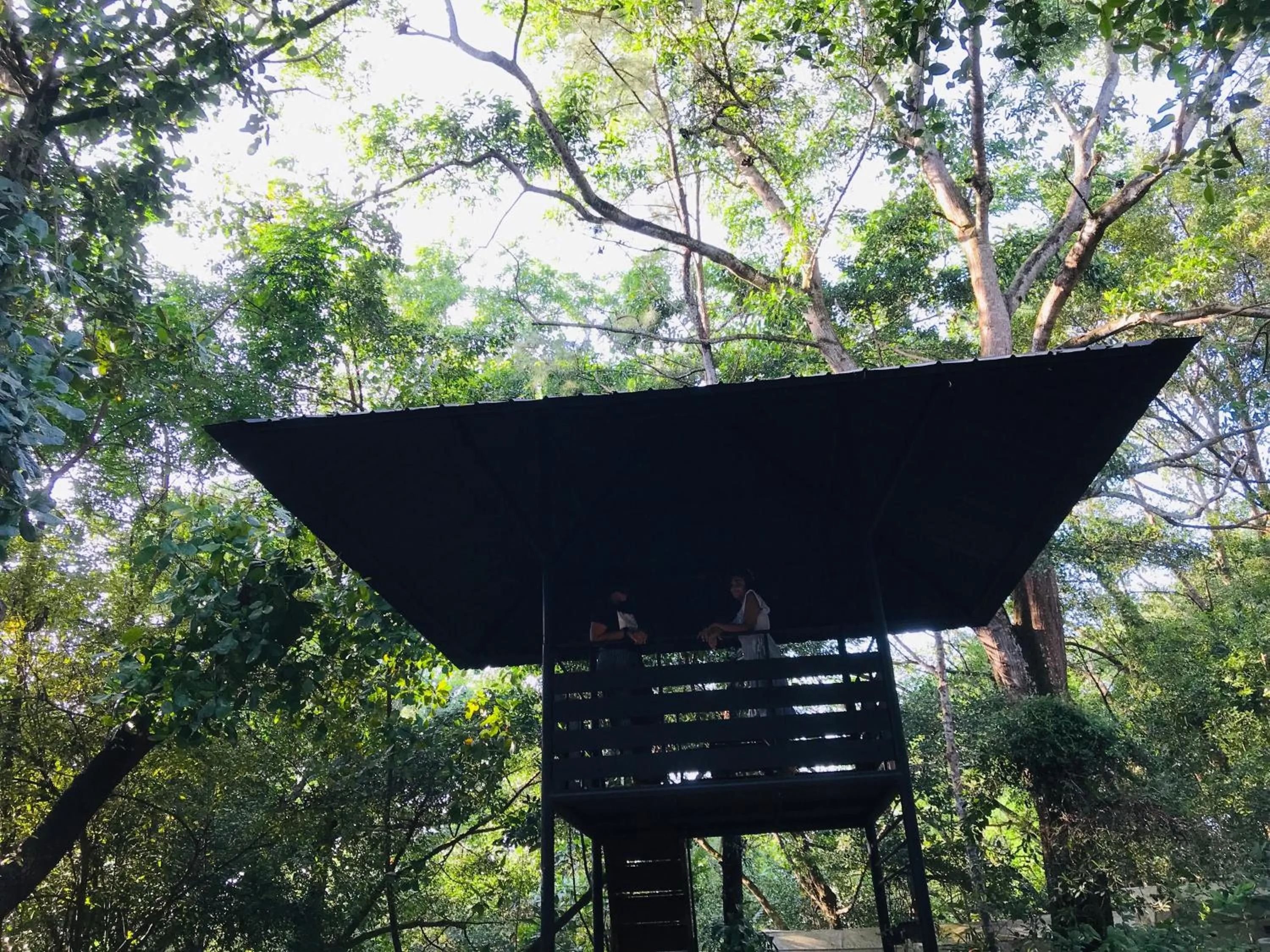 Natural landscape in Ceylon Kingsmen Garden - Katunayake Airport Transit Hotels