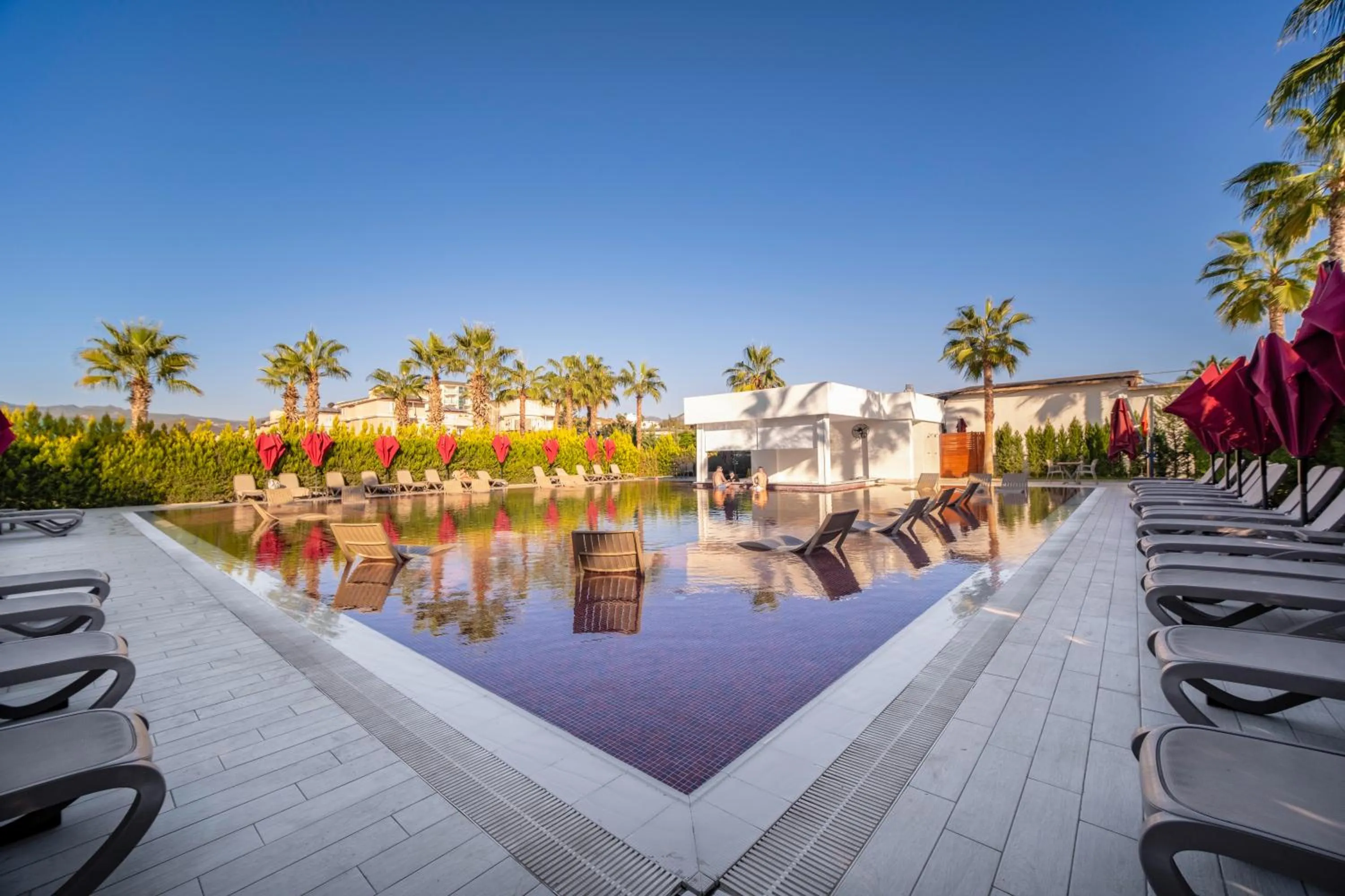 Day in Serenity Queen Hotel