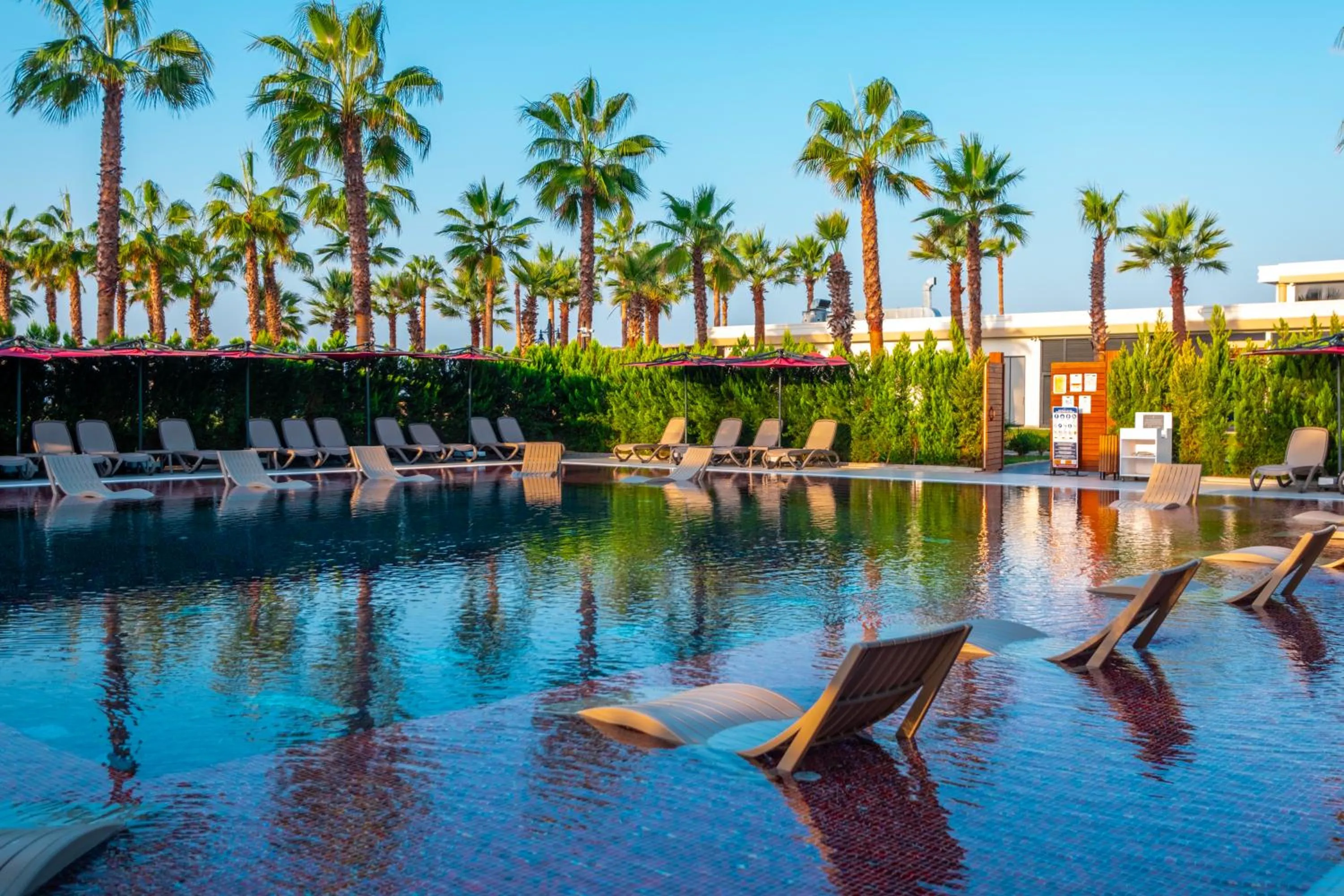 Spring in Serenity Queen Hotel