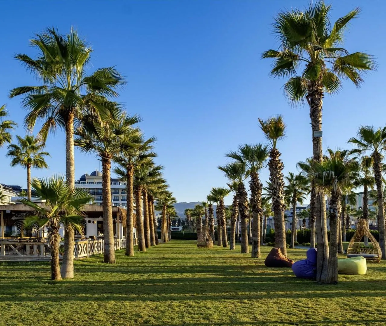 Spring in Serenity Queen Hotel